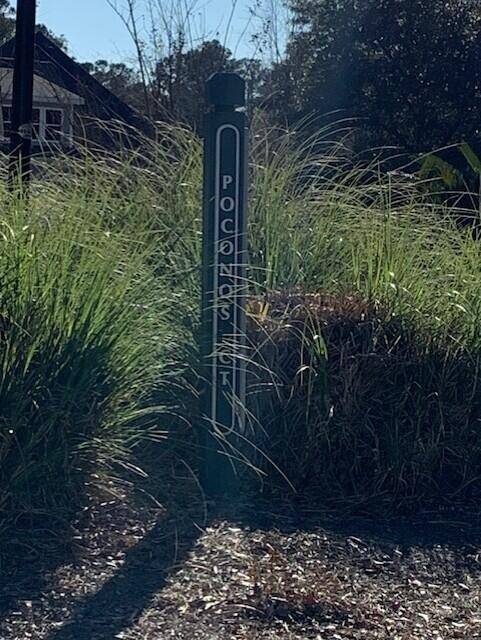 Summerville, SC 29483,1008 Poconos Ct