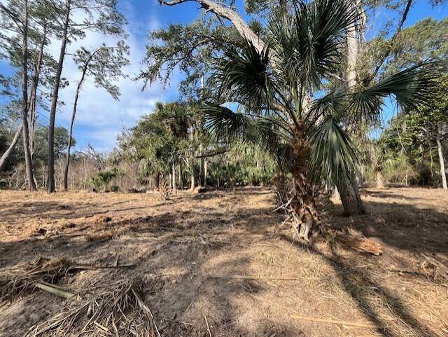 Edisto Island, SC 29438,8917 Palmetto Rd