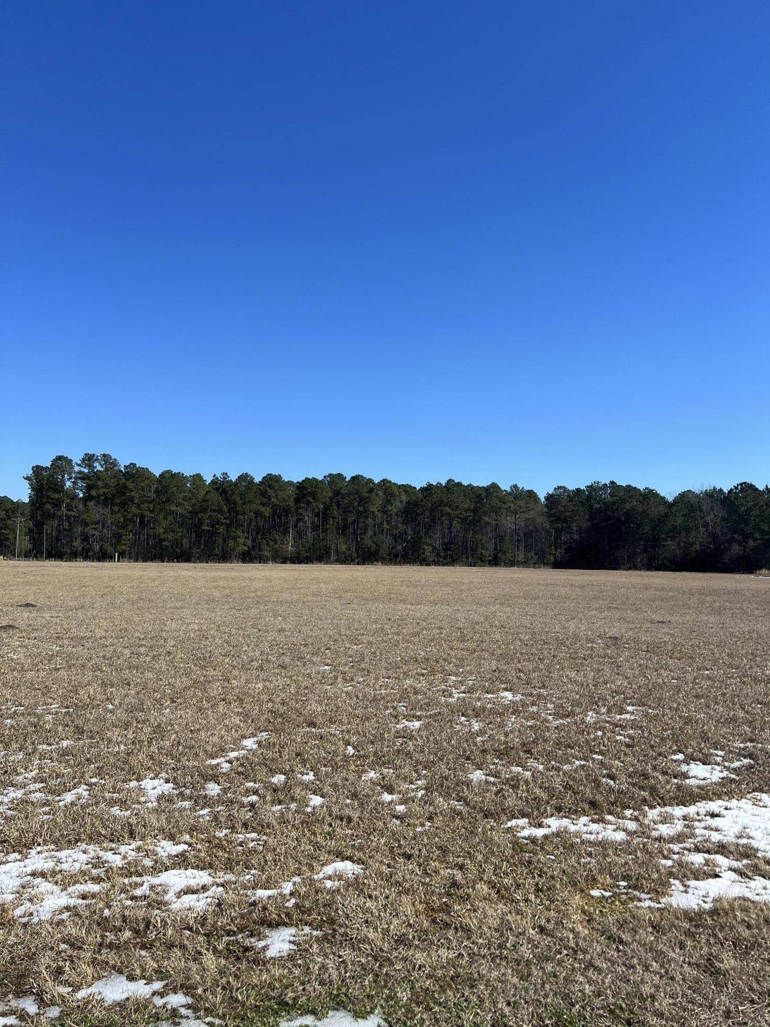 Moncks Corner, SC 29461,000 Hard Pinch Rd #A & B