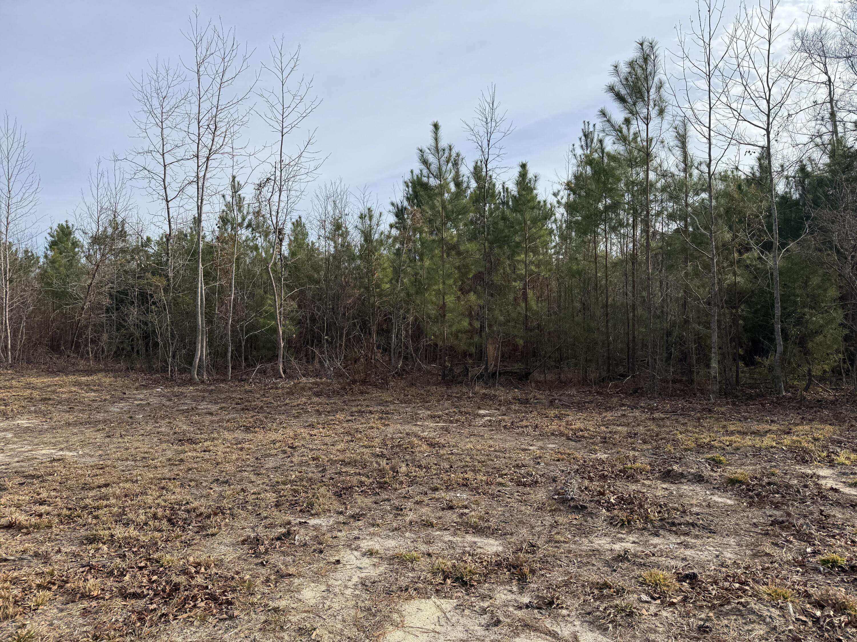 Eutawville, SC 29048,249 Ash Hill Dr