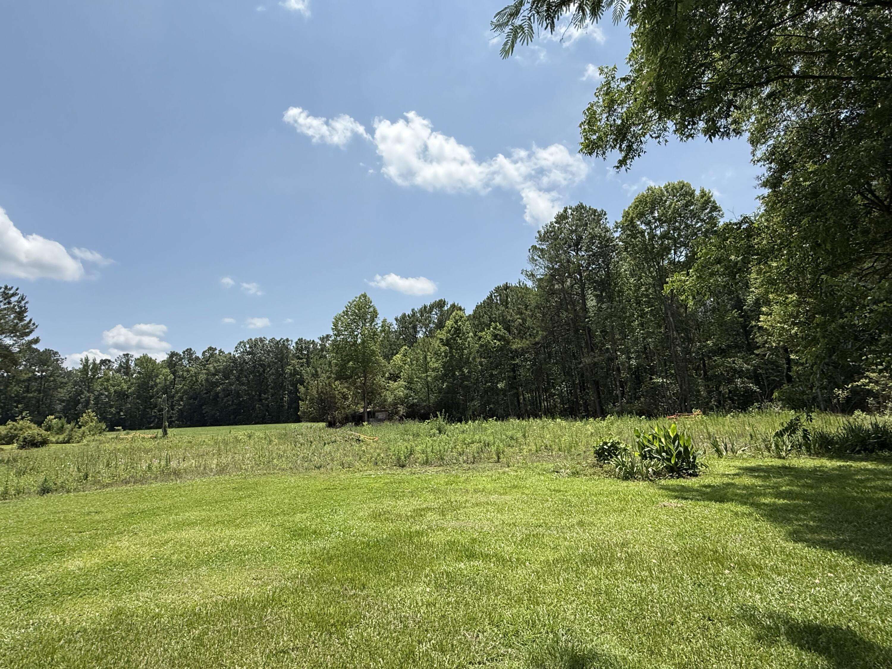 Bonneau, SC 29431,142-1 Donald Ln