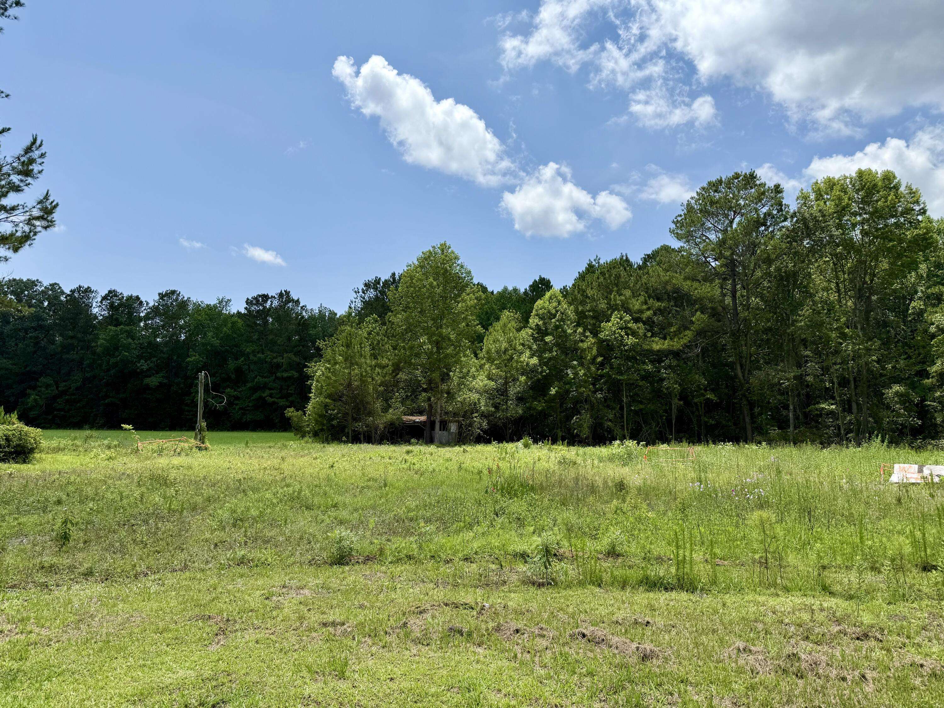 Bonneau, SC 29431,149 Donald Ln