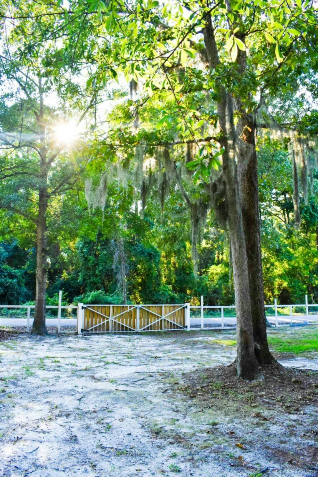 Eutawville, SC 29048,0 N Tucker Rd