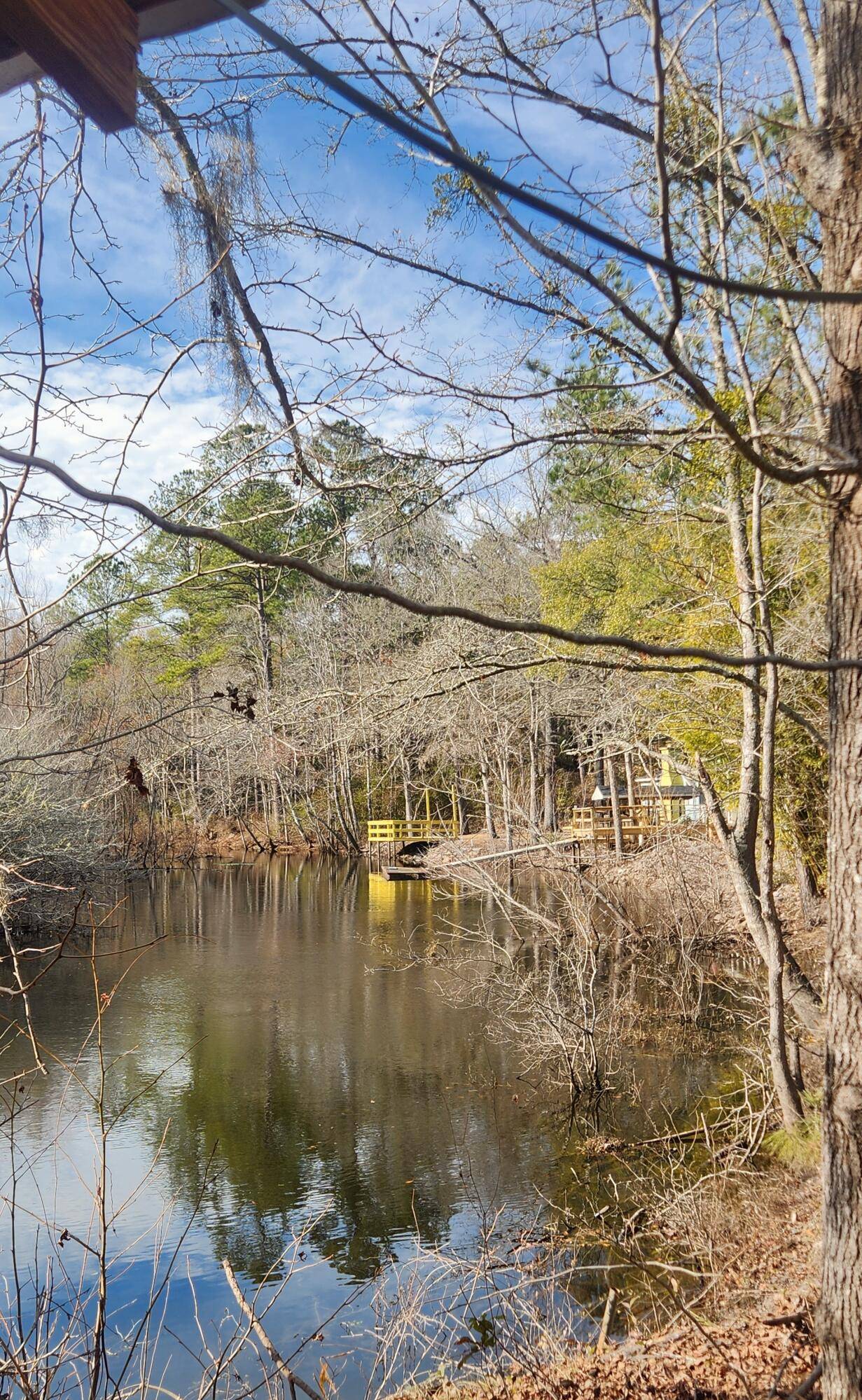 Branchville, SC 29432,218 Cat Hole Ln