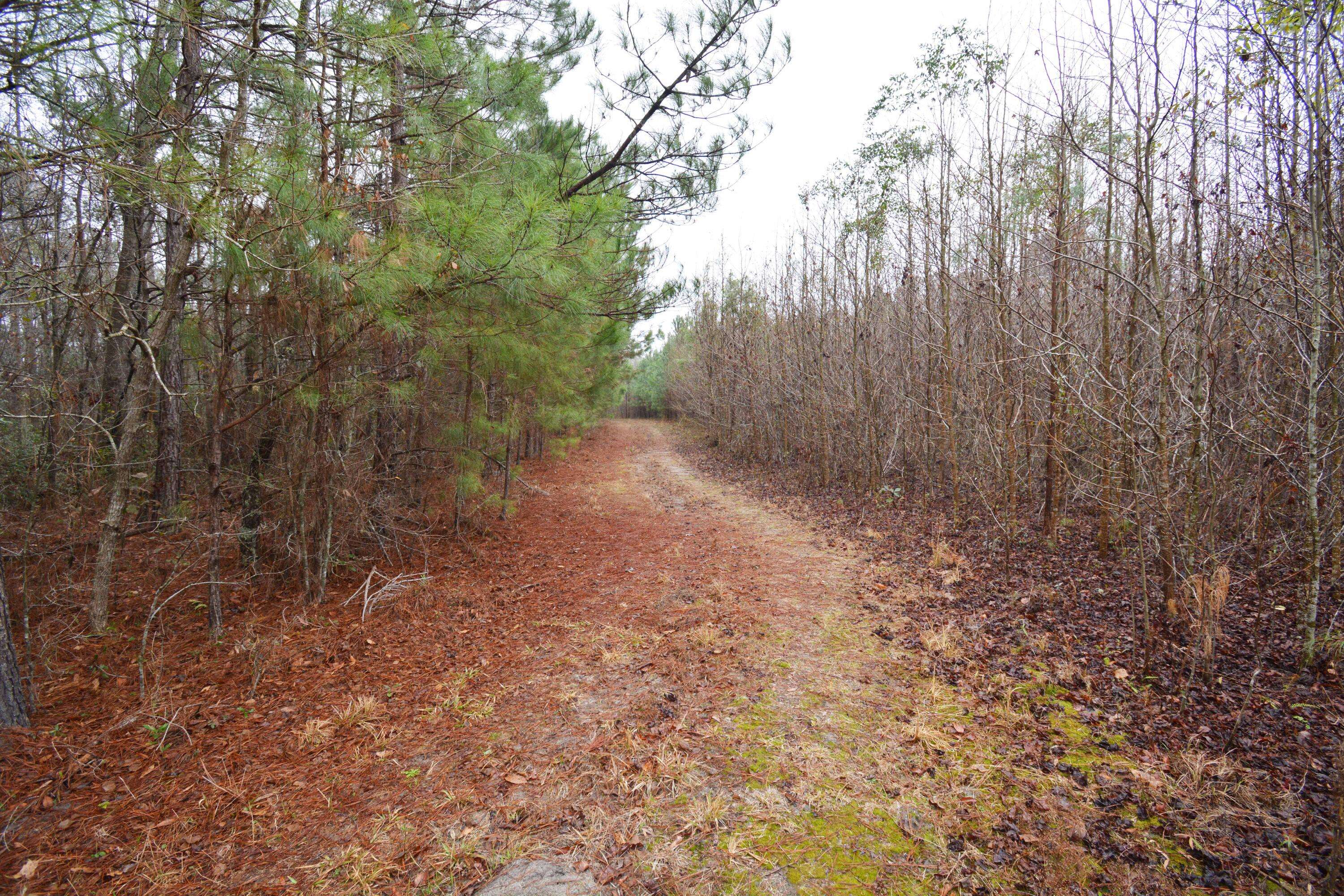 Eutawville, SC 29048,0 Deliverance Dr