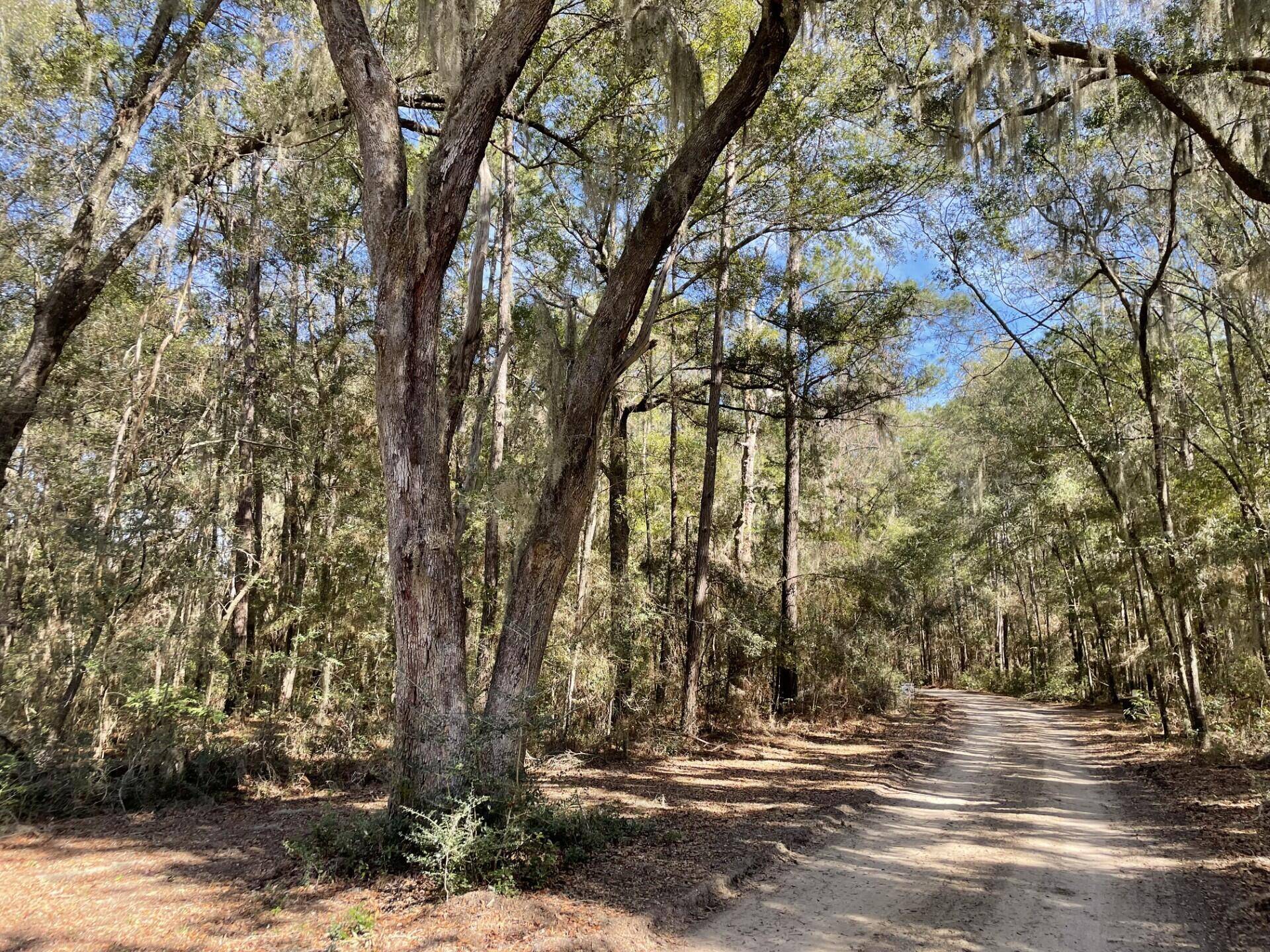 Edisto Island, SC 29438,0 Louis Berry Ln