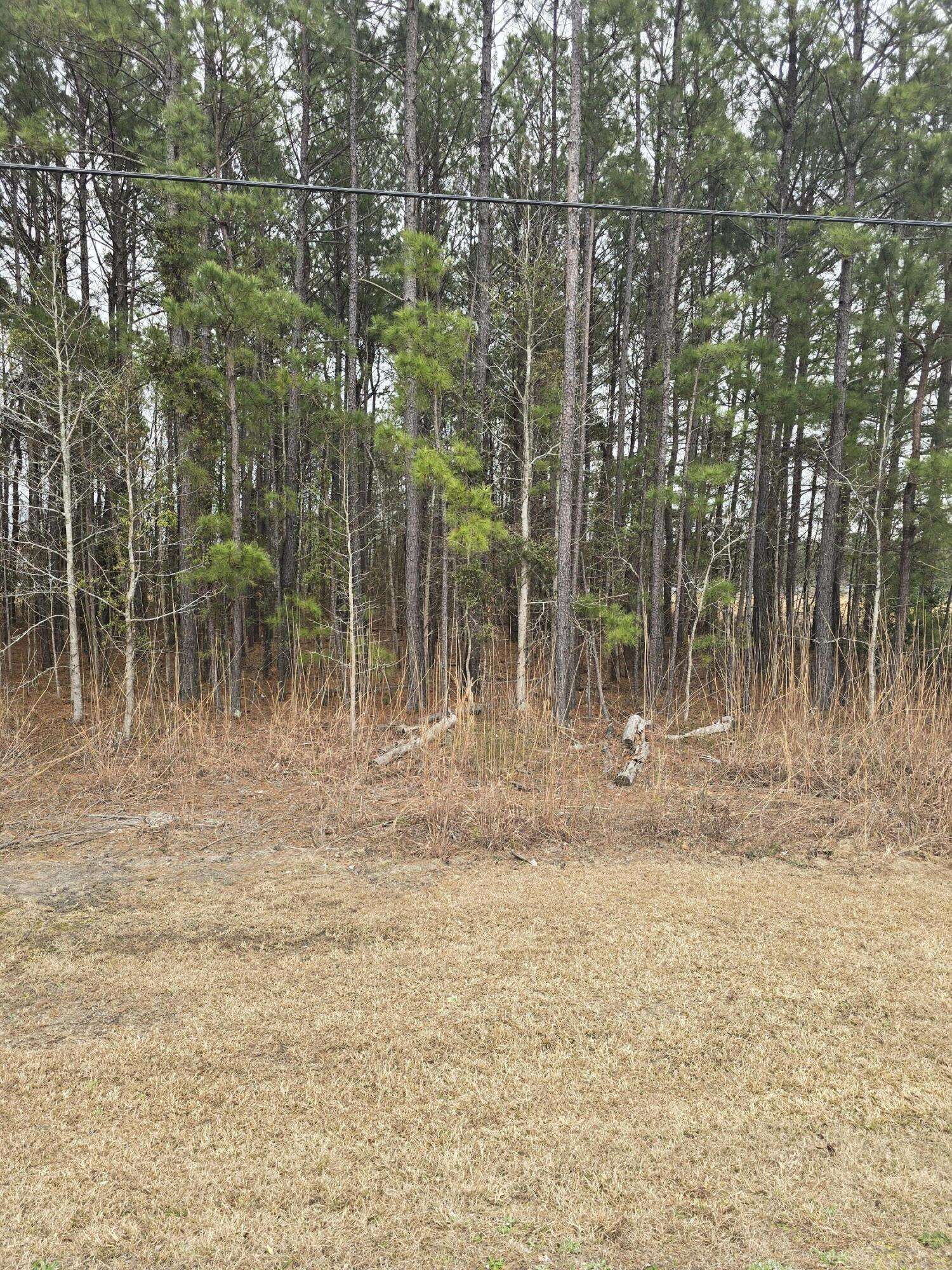 Pamplico, SC 29583,0 S Pamplico Hwy