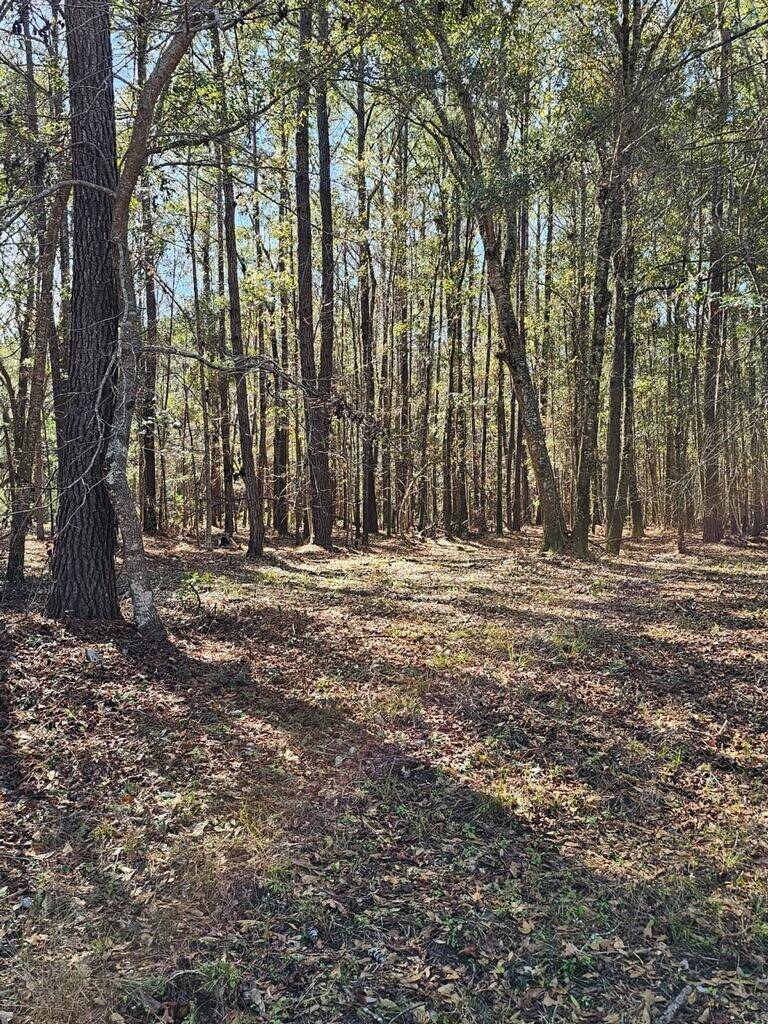 Edisto Island, SC 29438,1667 Blues Ln