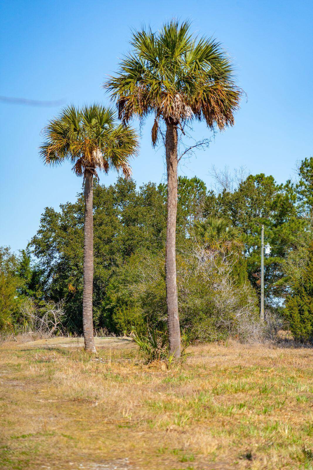 Mount Pleasant, SC 29464,328 Maggie Rd