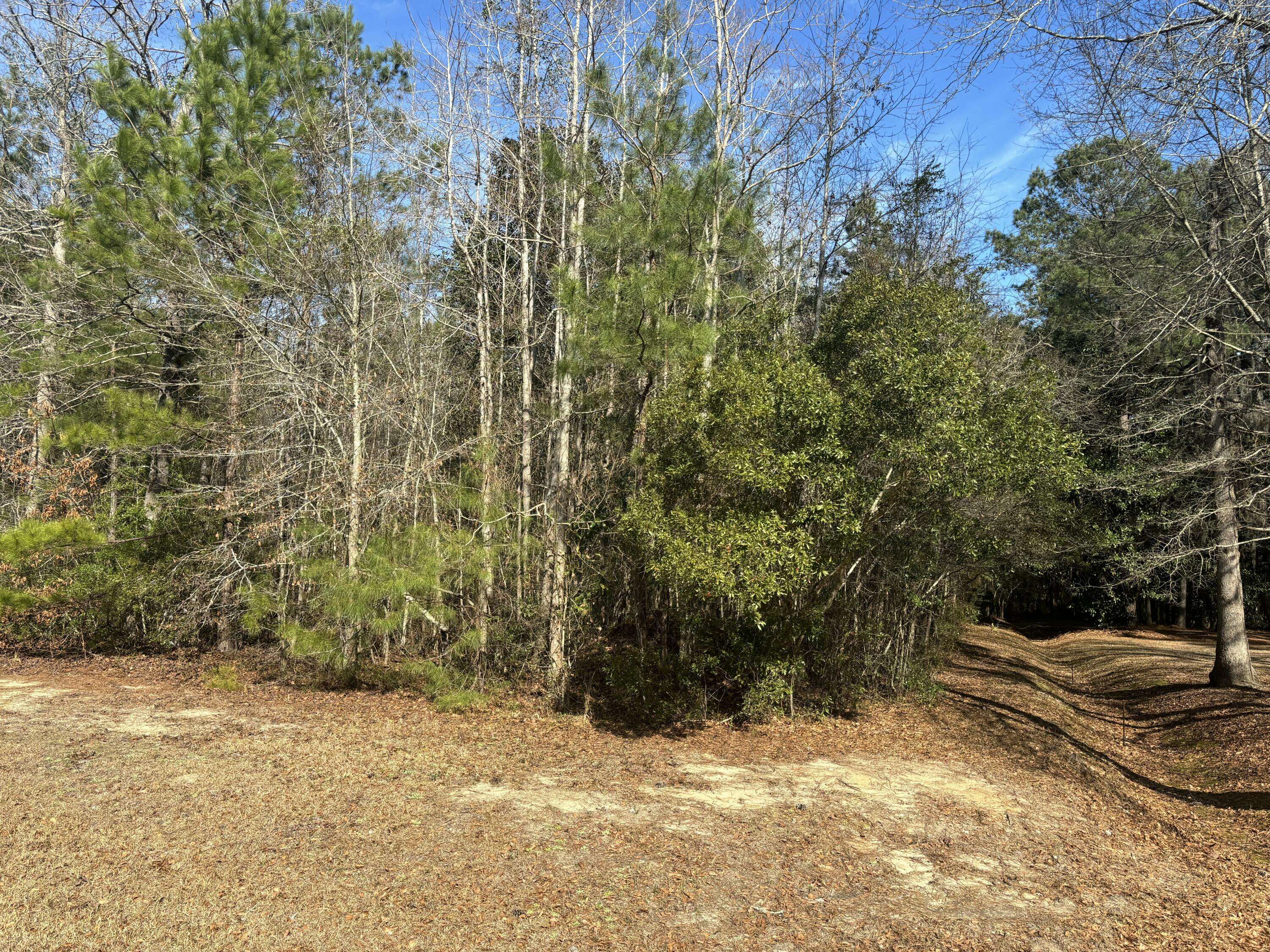 Moncks Corner, SC 29461,226 Spotted Owl Ln