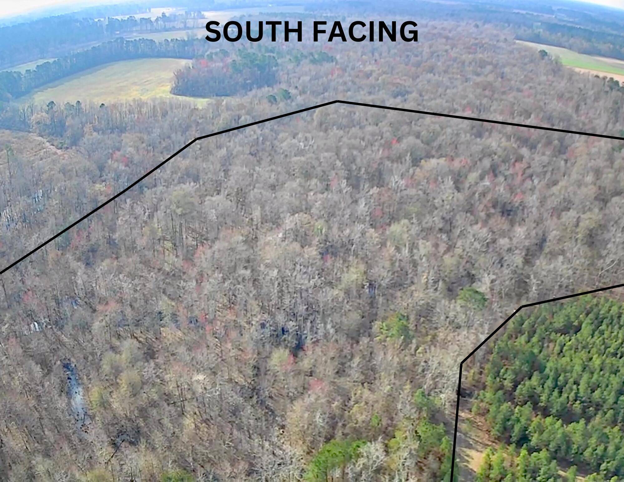 Turbeville, SC 29162,Tbd American Ave