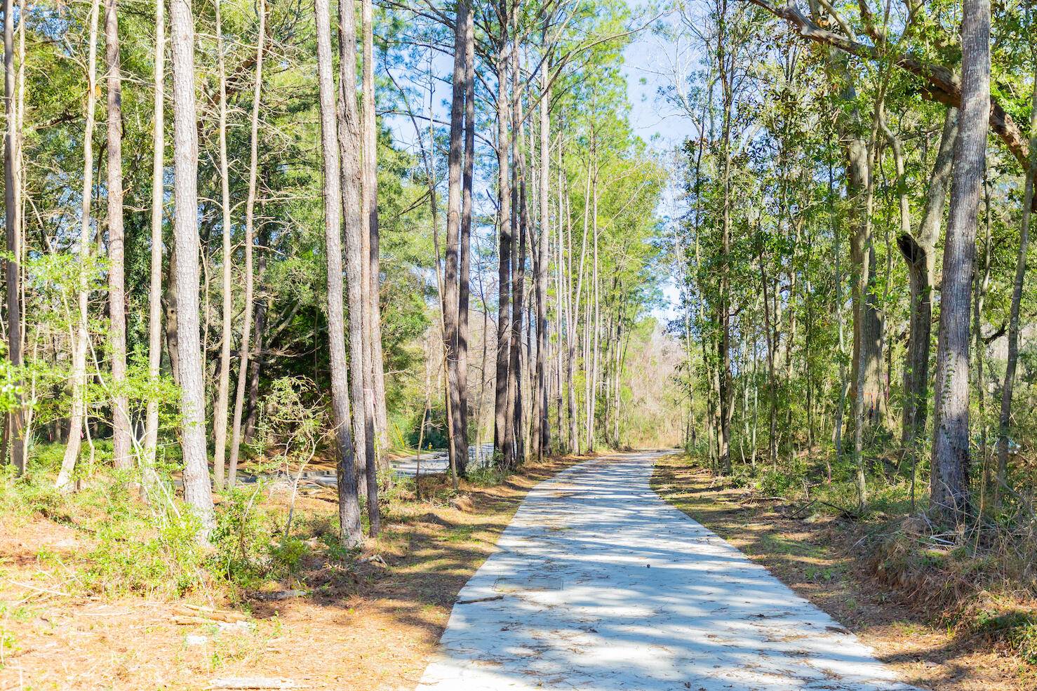 Johns Island, SC 29455,1717 Vireo Ct