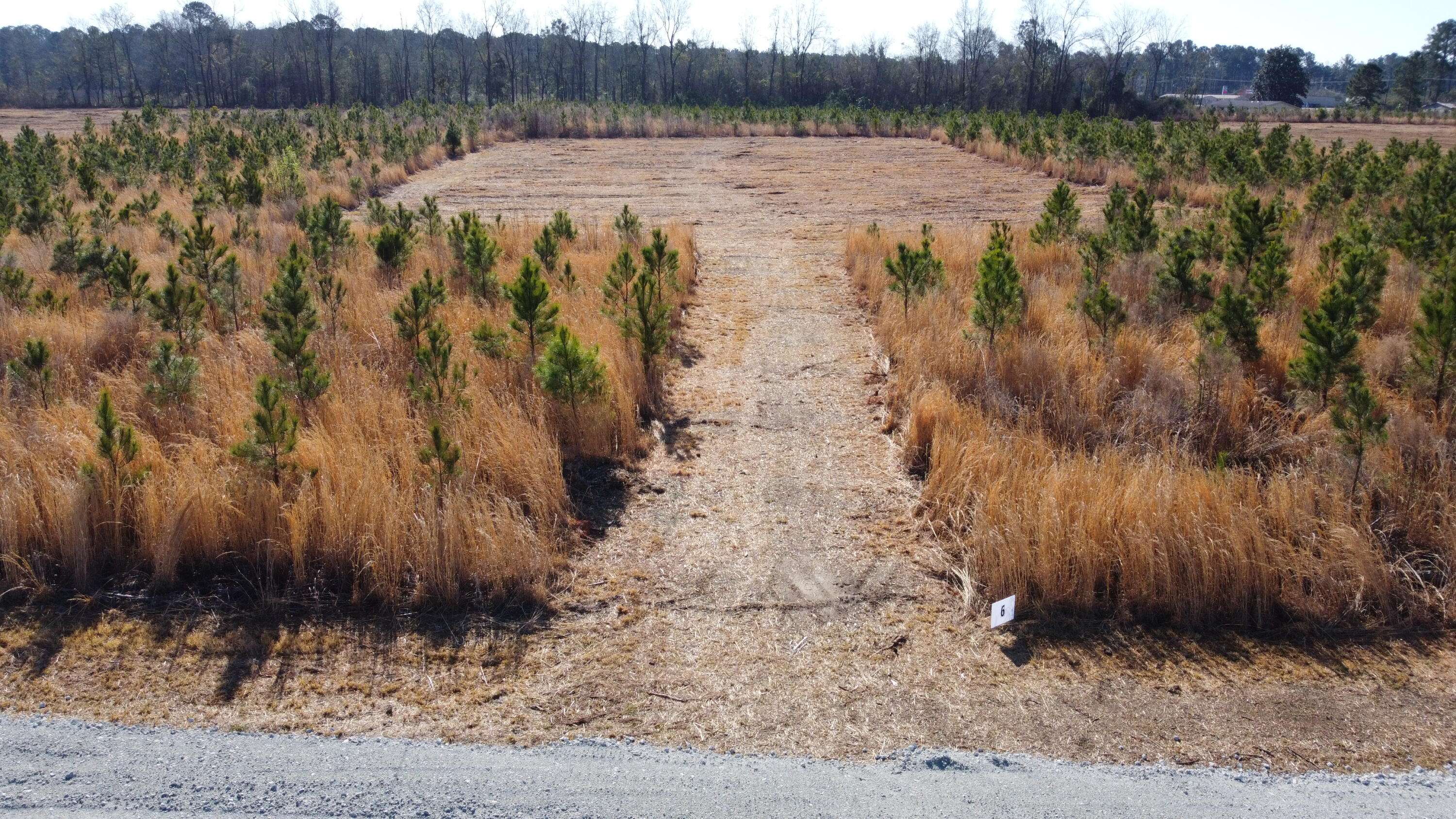Cross, SC 29436,6 Hwy 6