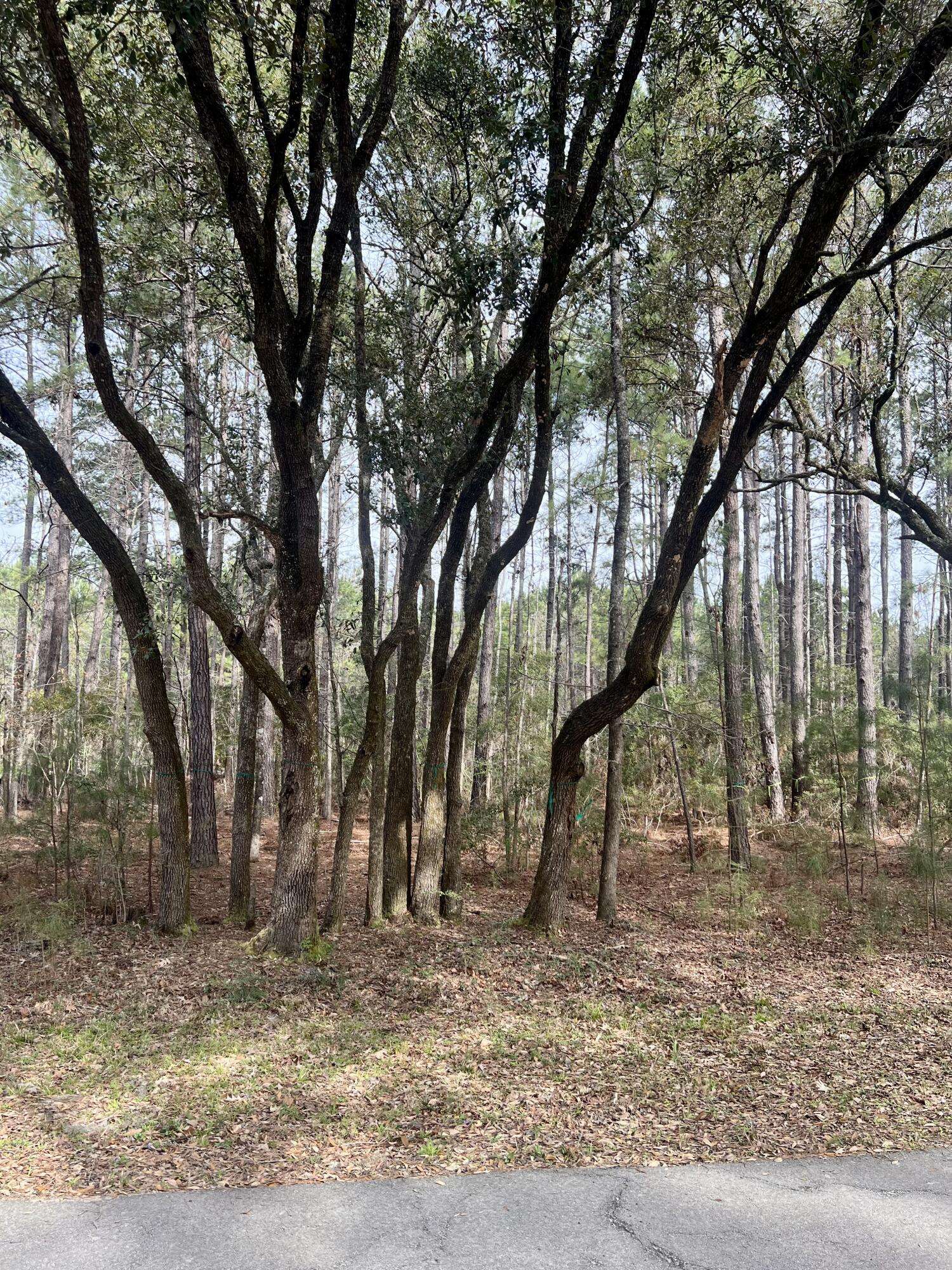 Yemassee, SC 29945,237 Founders Oak Way