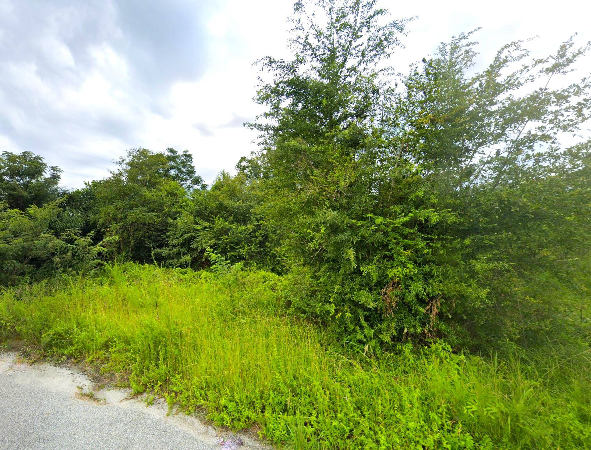 Summerton, SC 29148,1071 Lincoln St