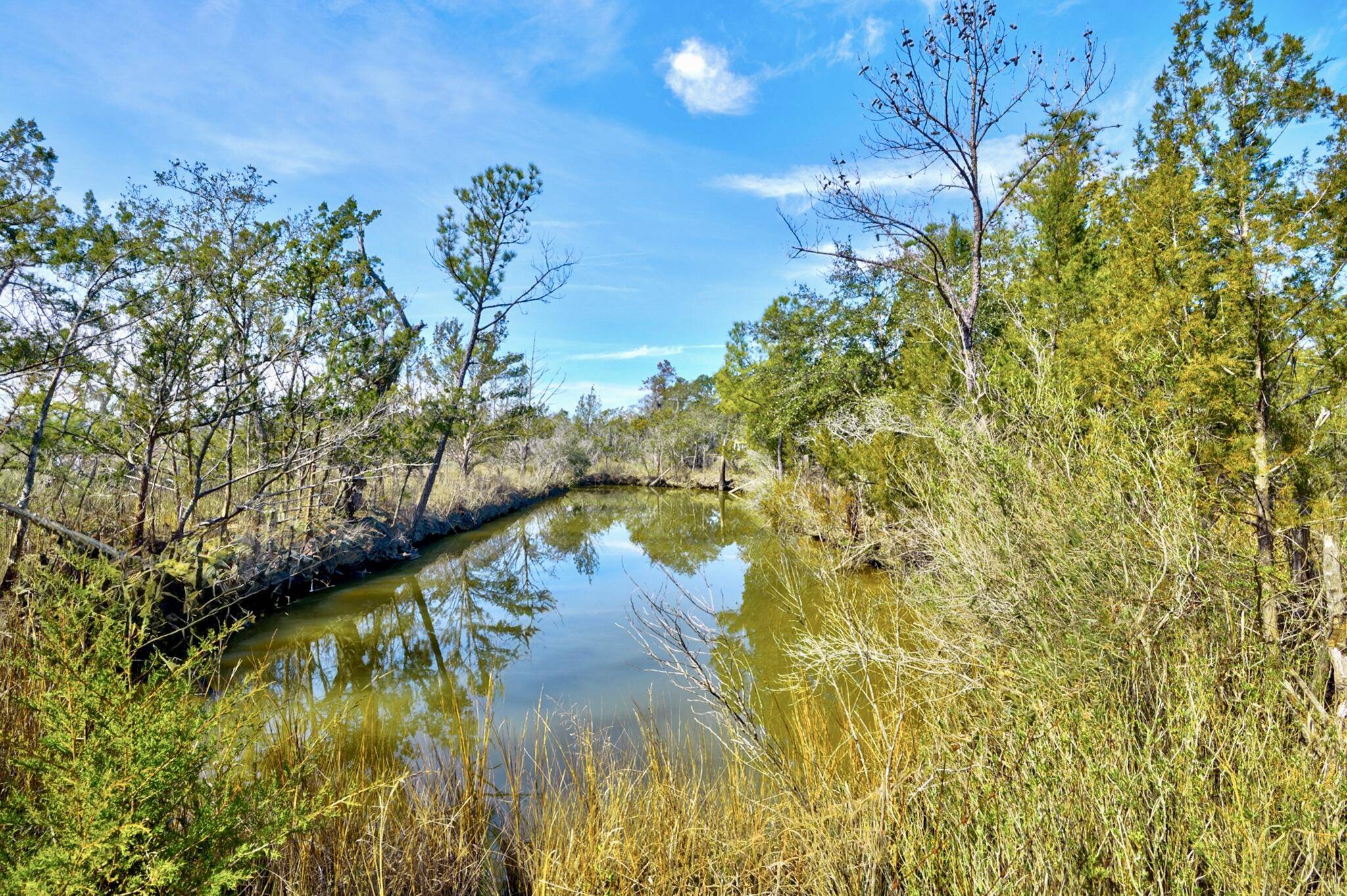 Hollywood, SC 29449,4707 Highway 165