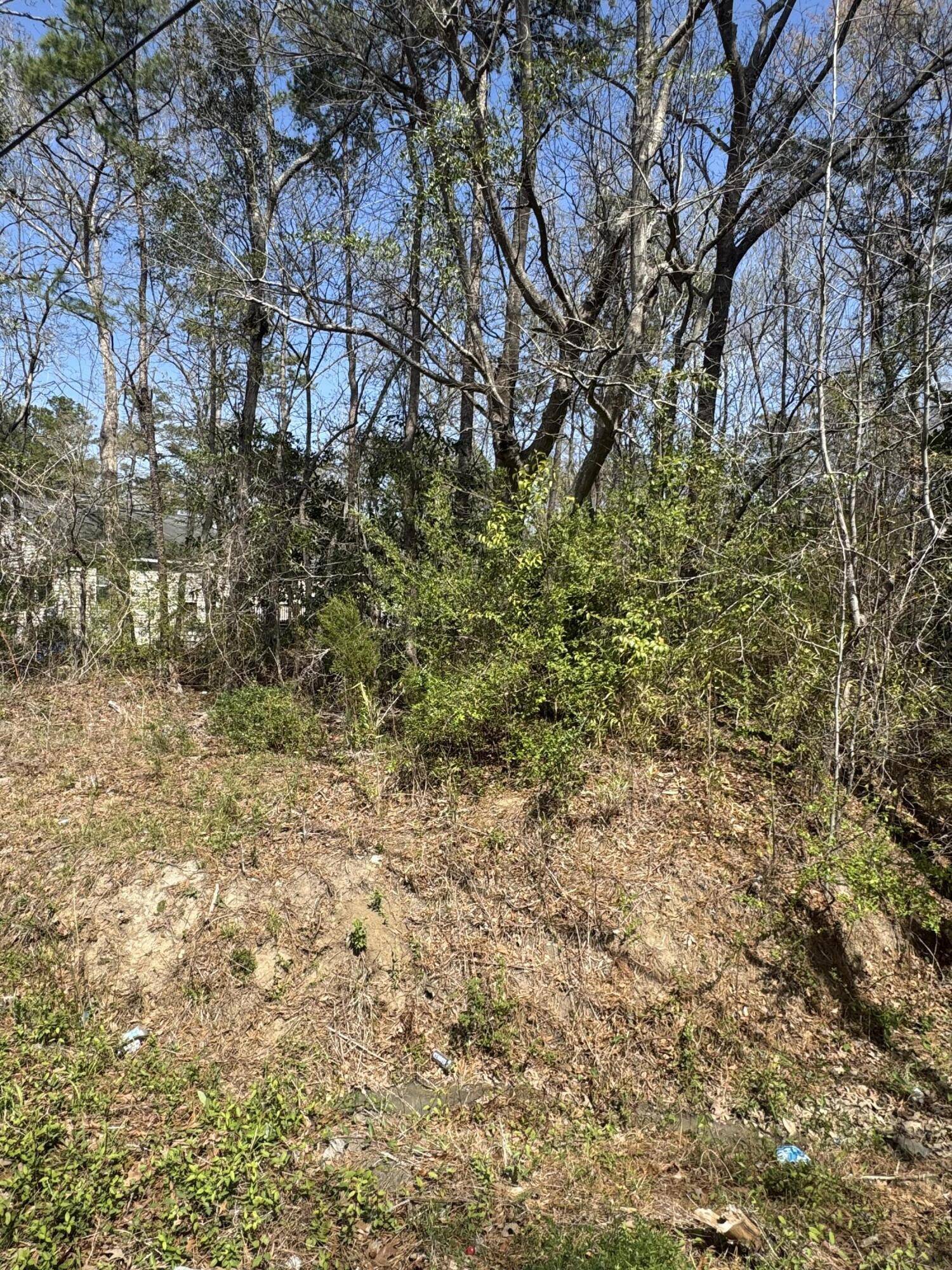 Goose Creek, SC 29445,131 Giles Dr