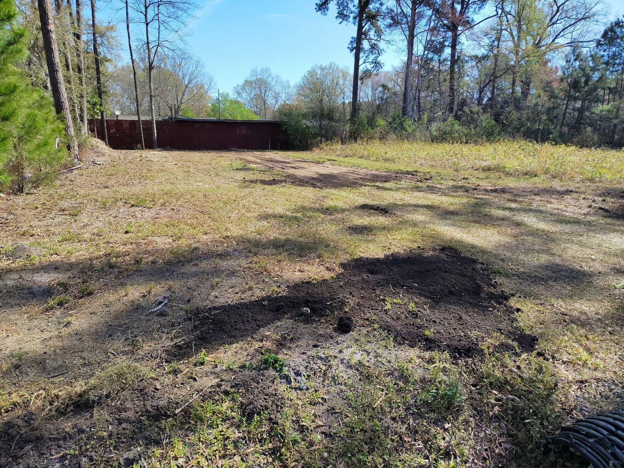 North Charleston, SC 29418,00 University Drive