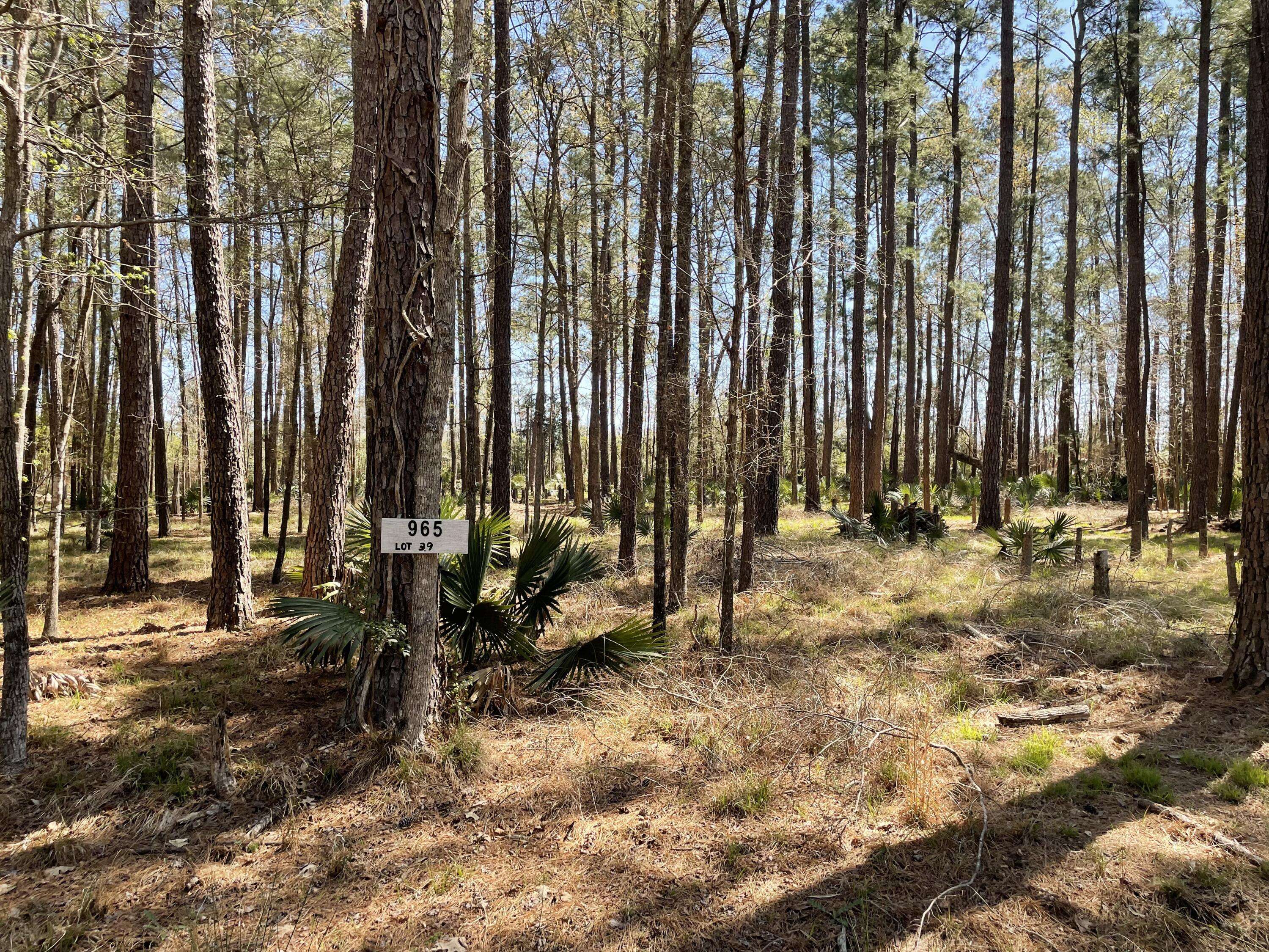 Walterboro, SC 29488,0 Backfield Rd