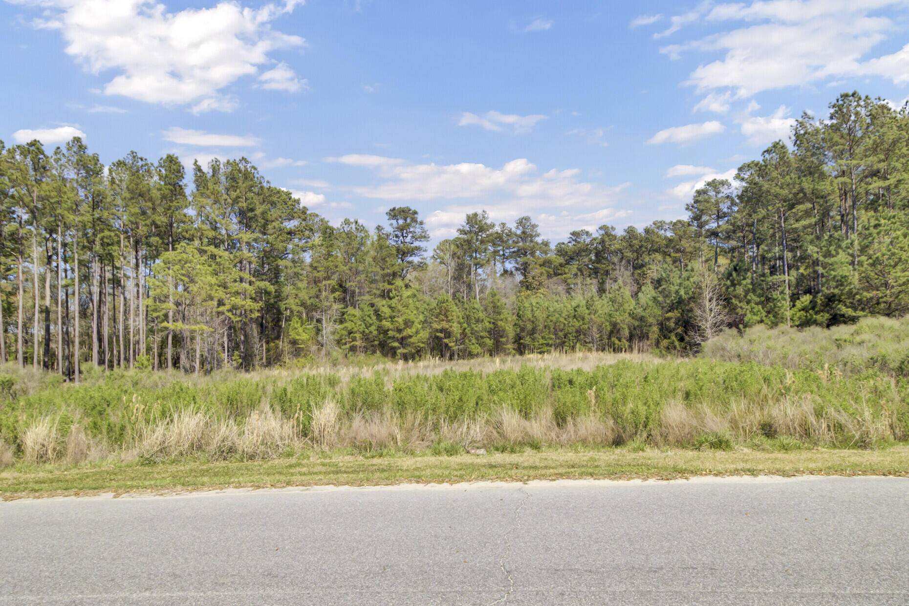 Moncks Corner, SC 29461,1319 Wood Sorrel Dr