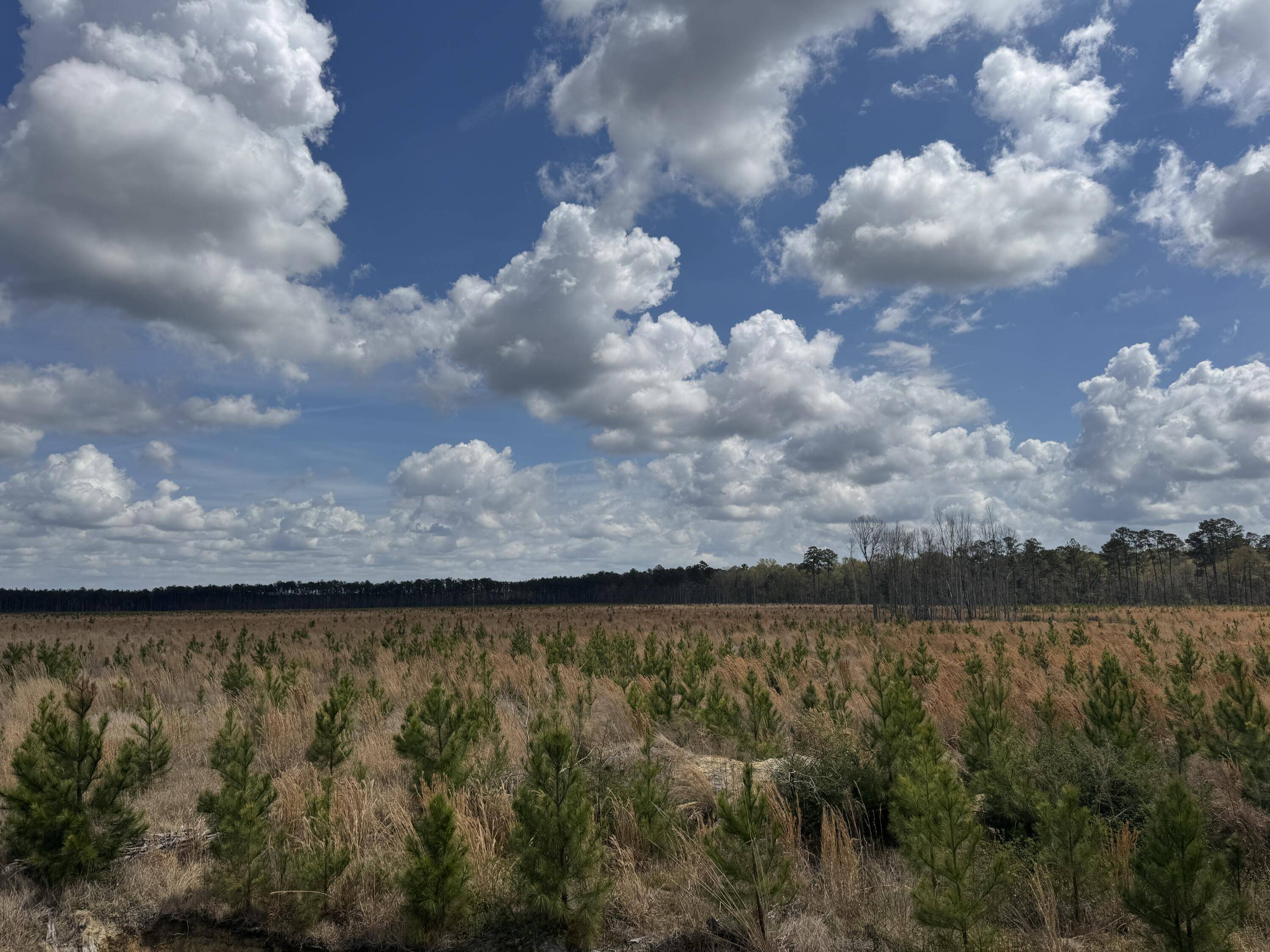 Jericho, SC 29426,0 Savannah Hwy
