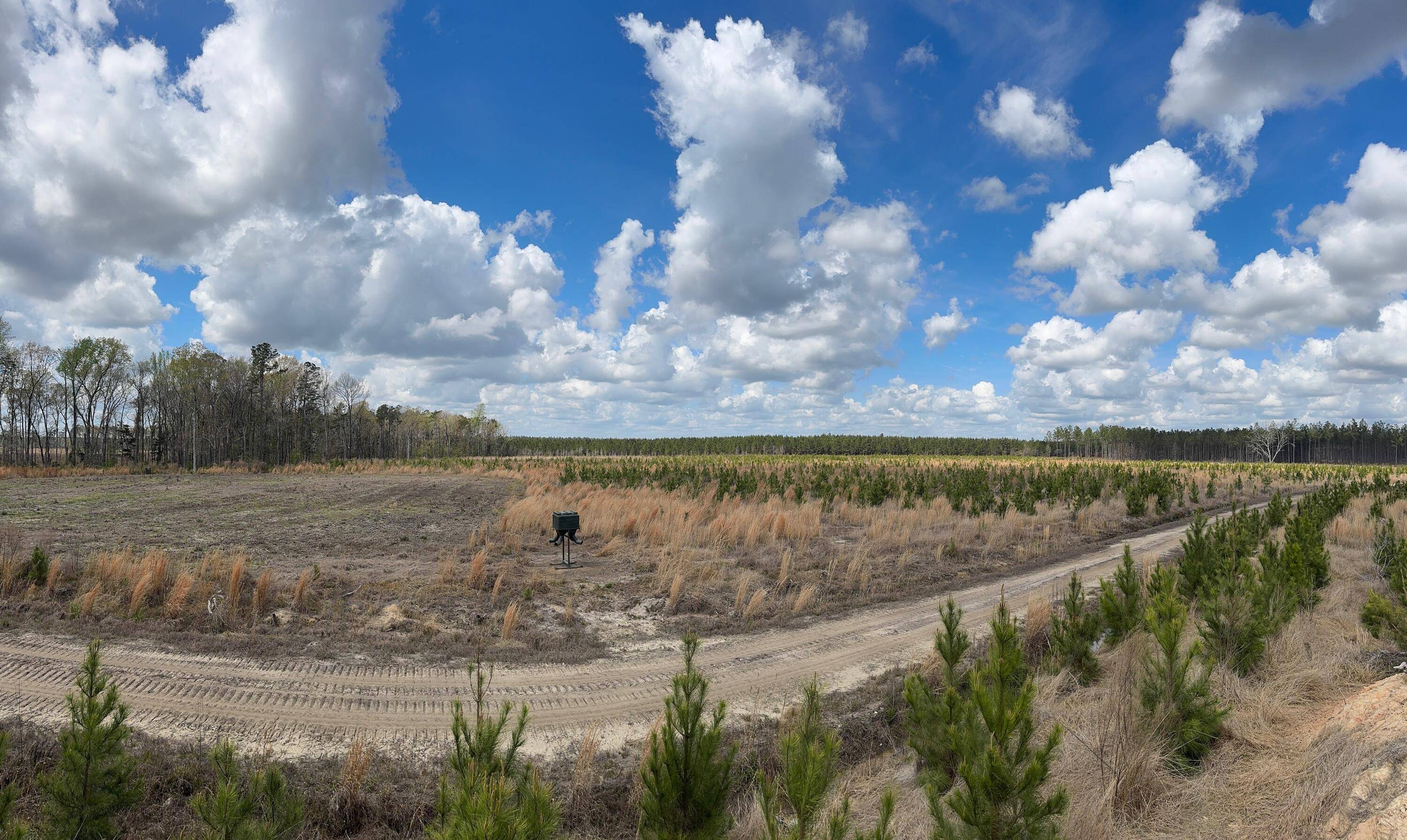 Jericho, SC 29426,0 Savannah Hwy