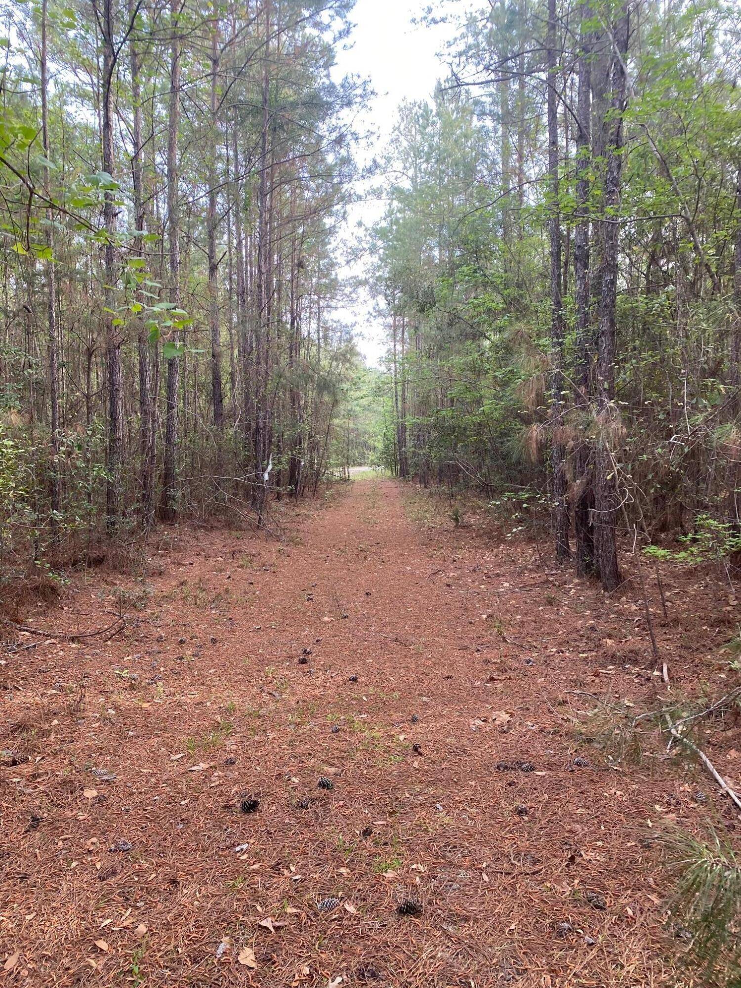 Andrews, SC 29510,0 Deer Run Ave