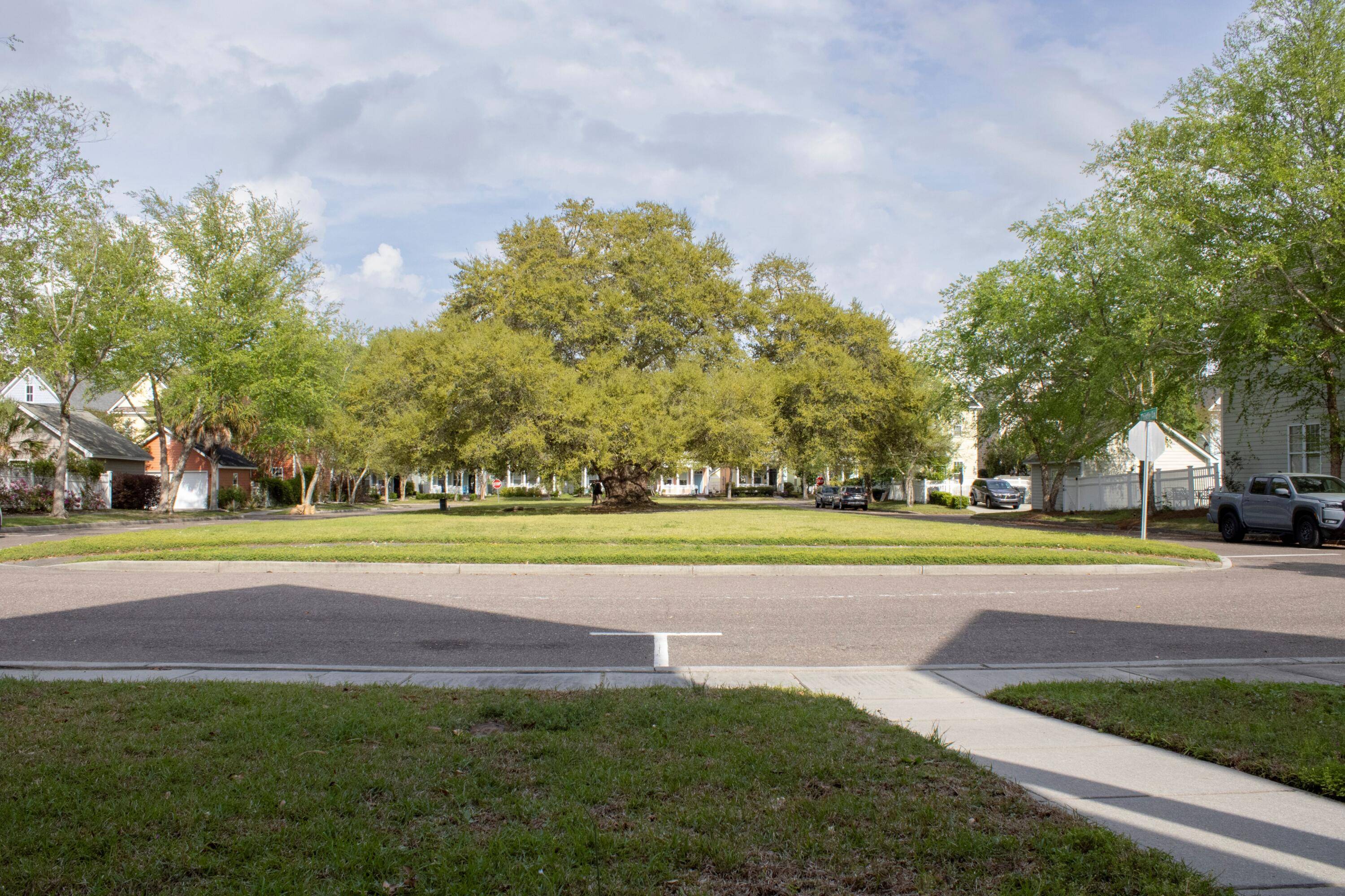 Summerville, SC 29483,102 Dandelion St