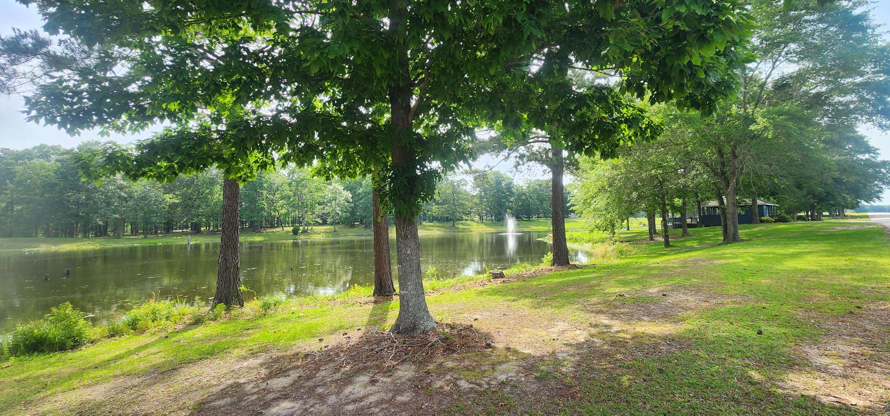 Manning, SC 29102,1315 Bojo Cir