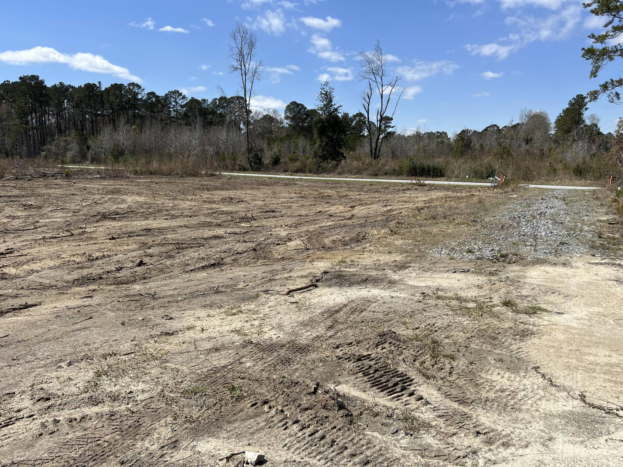 Walterboro, SC 29488,79 Herndon St #Tract 4