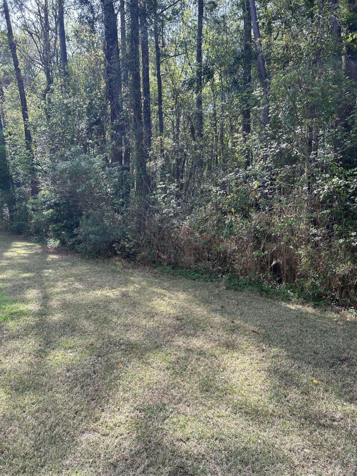 Mount Pleasant, SC 29466,1300 Park West Blvd #516