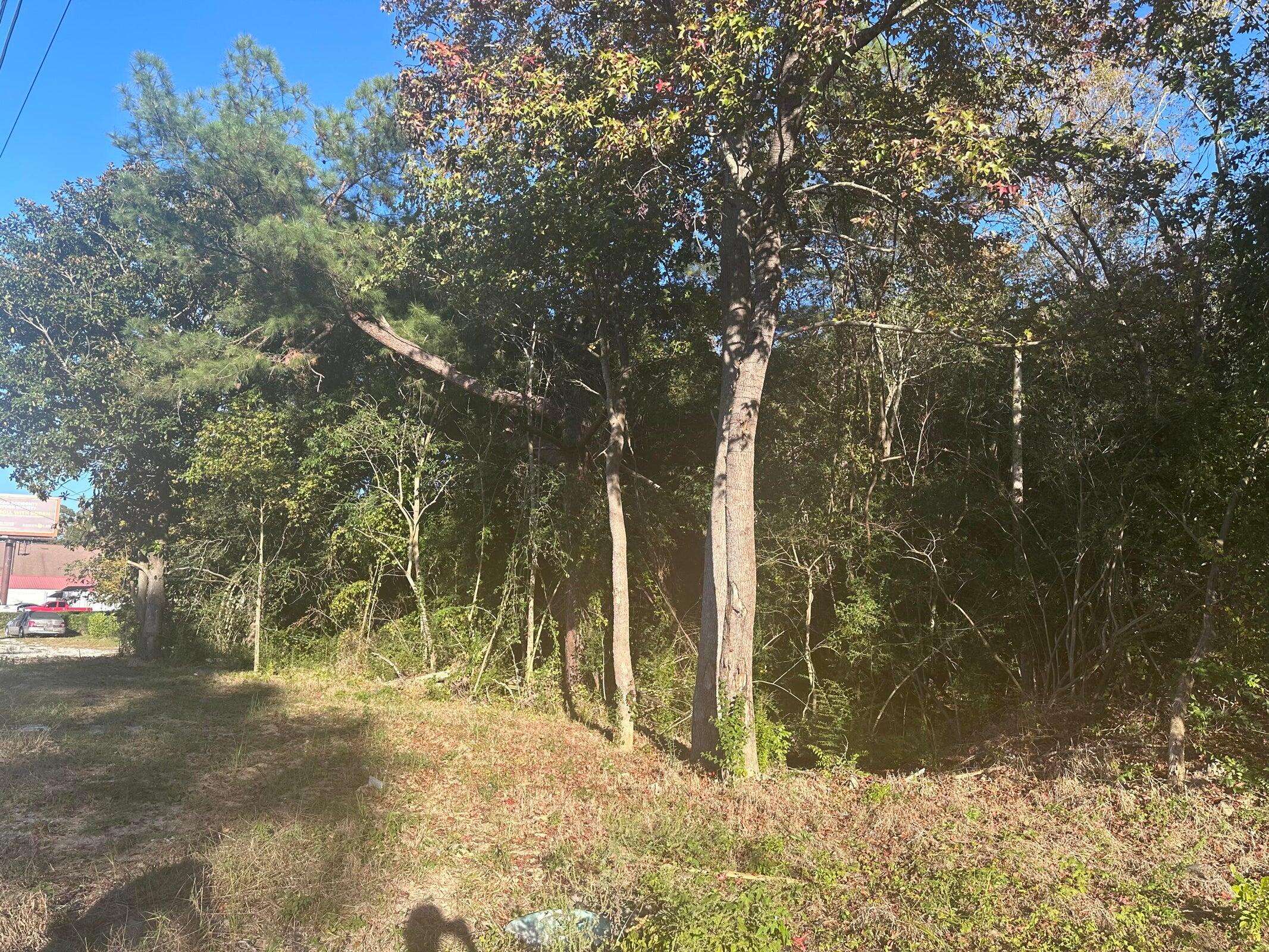 Moncks Corner, SC 29461,220 N Highway 52