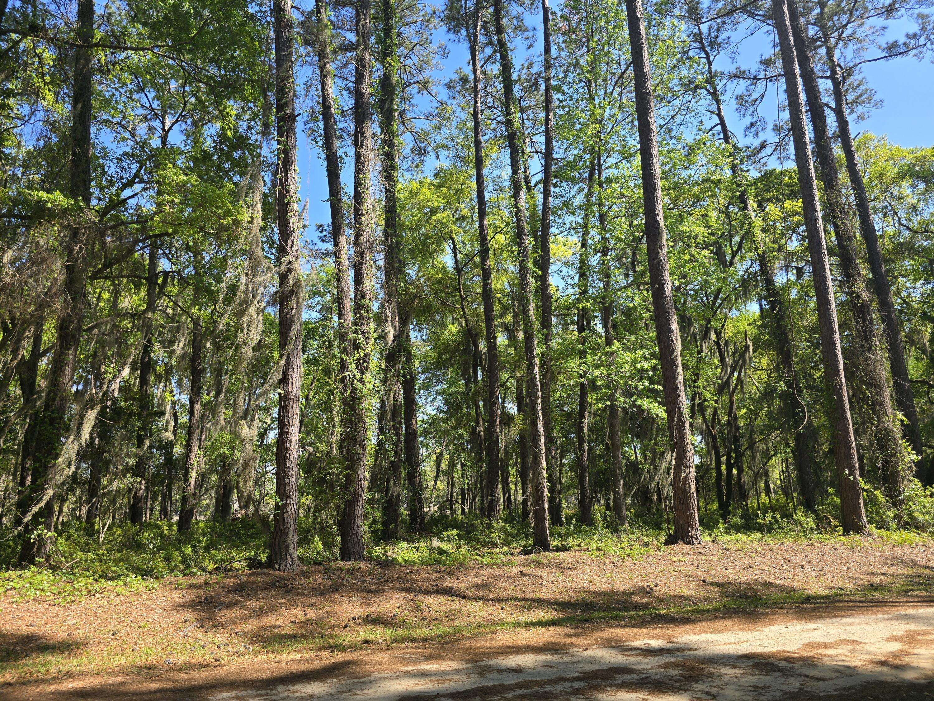 Edisto Island, SC 29438,8 Chaplin Garden Ln