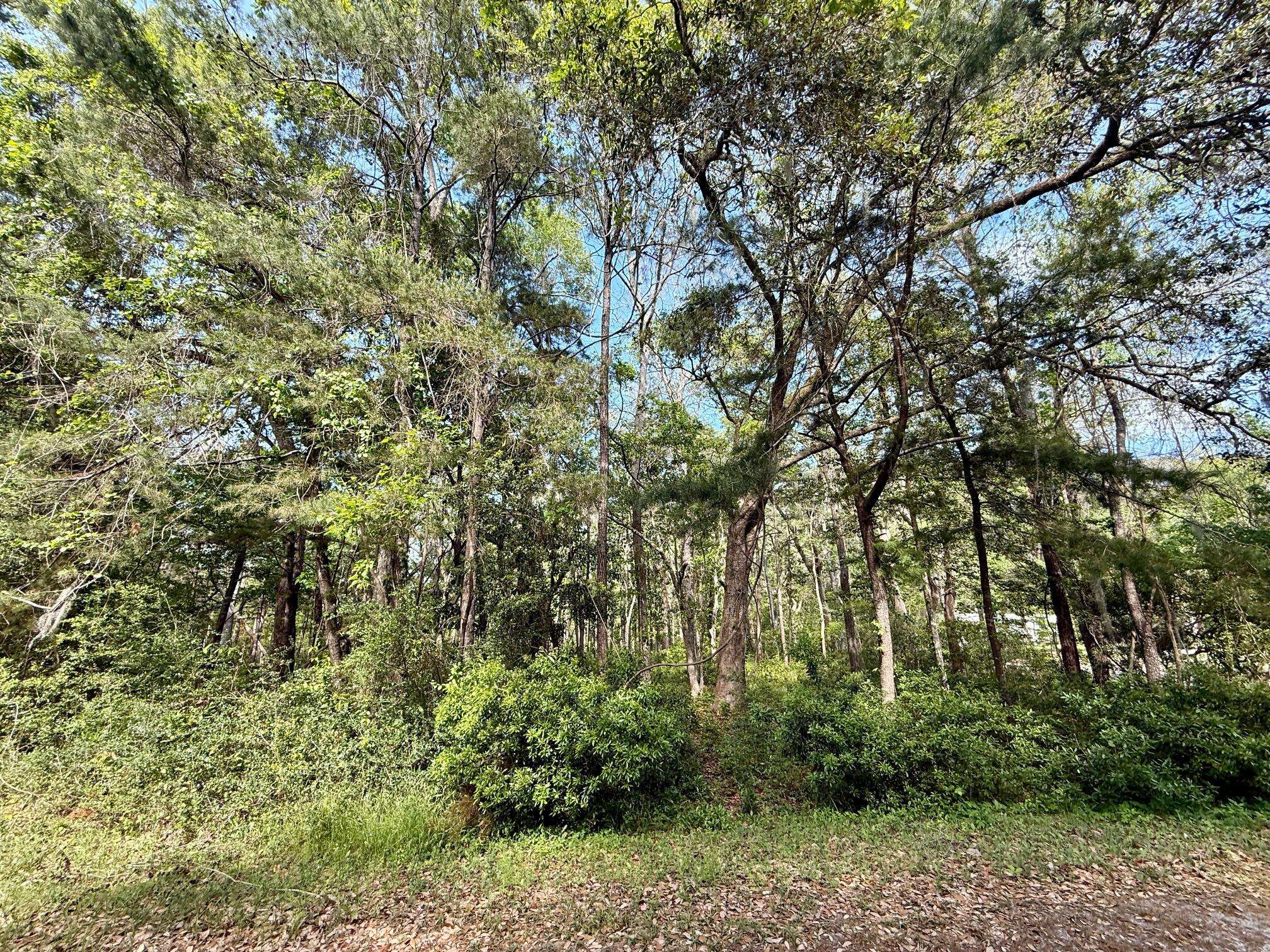Edisto Island, SC 29438,0 Crawford Dr