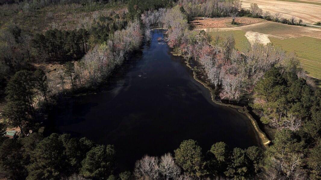 Norway, SC 29113,2508 Bonnette Rd