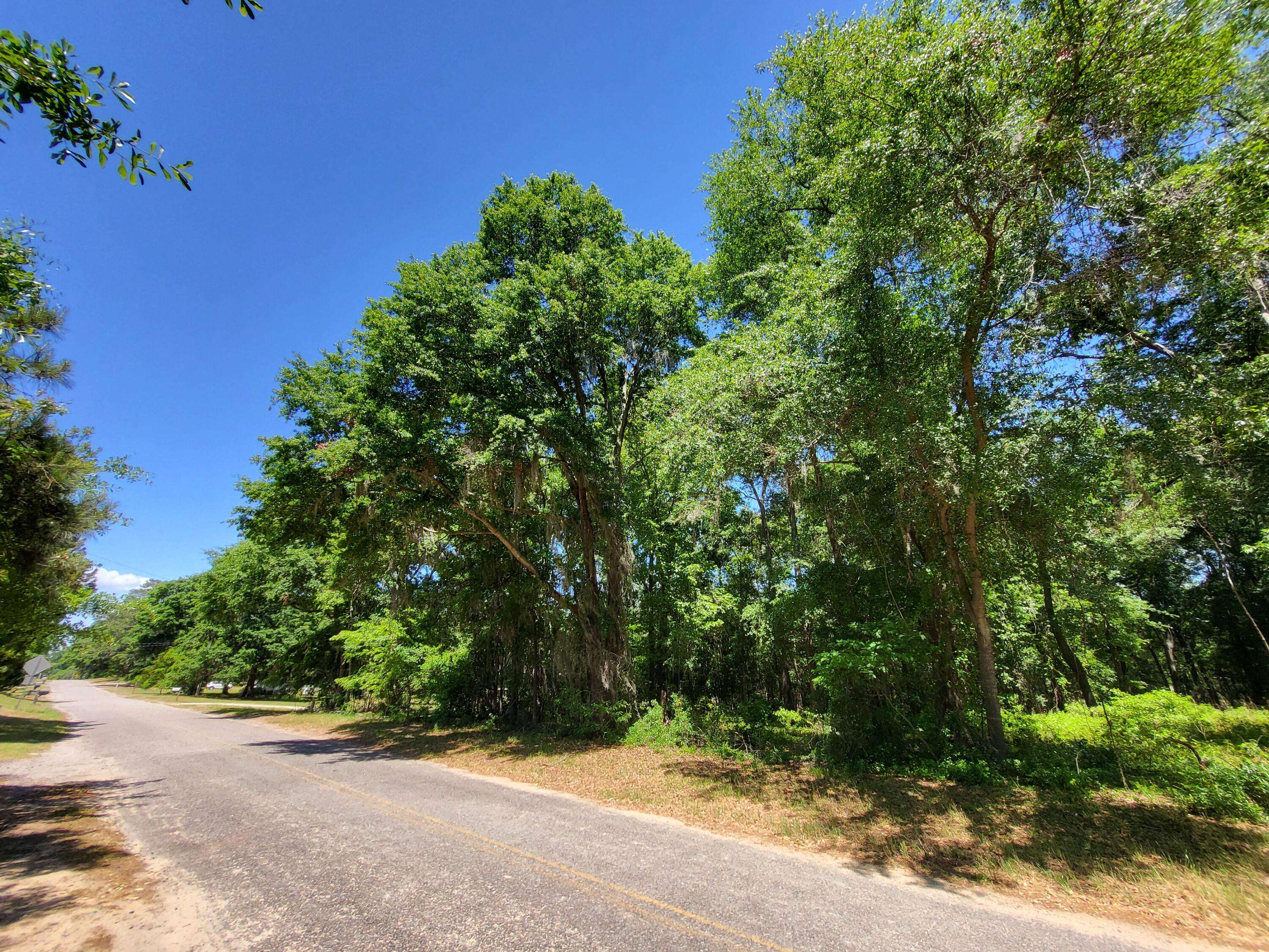 Summerton, SC 29148,Lot 21 Francis Marion Blvd