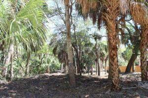 Edisto Beach, SC 29438,3104 Fort St