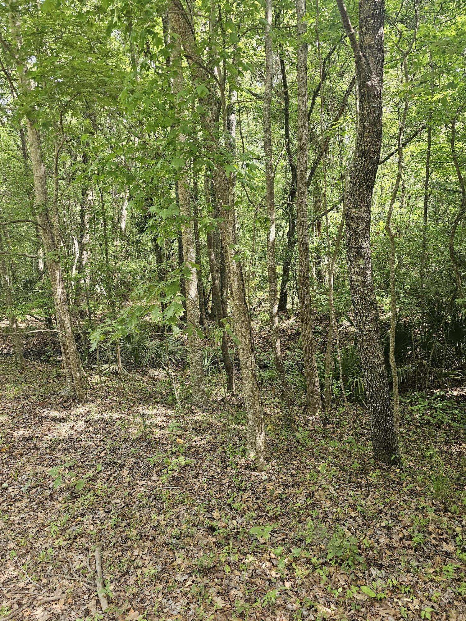 Johns Island, SC 29455,3910 Benjamin Rd