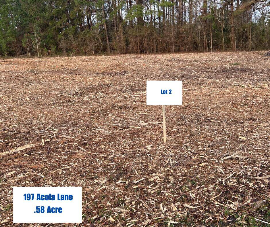 Holly Hill, SC 29059,197 Acola Ln #B