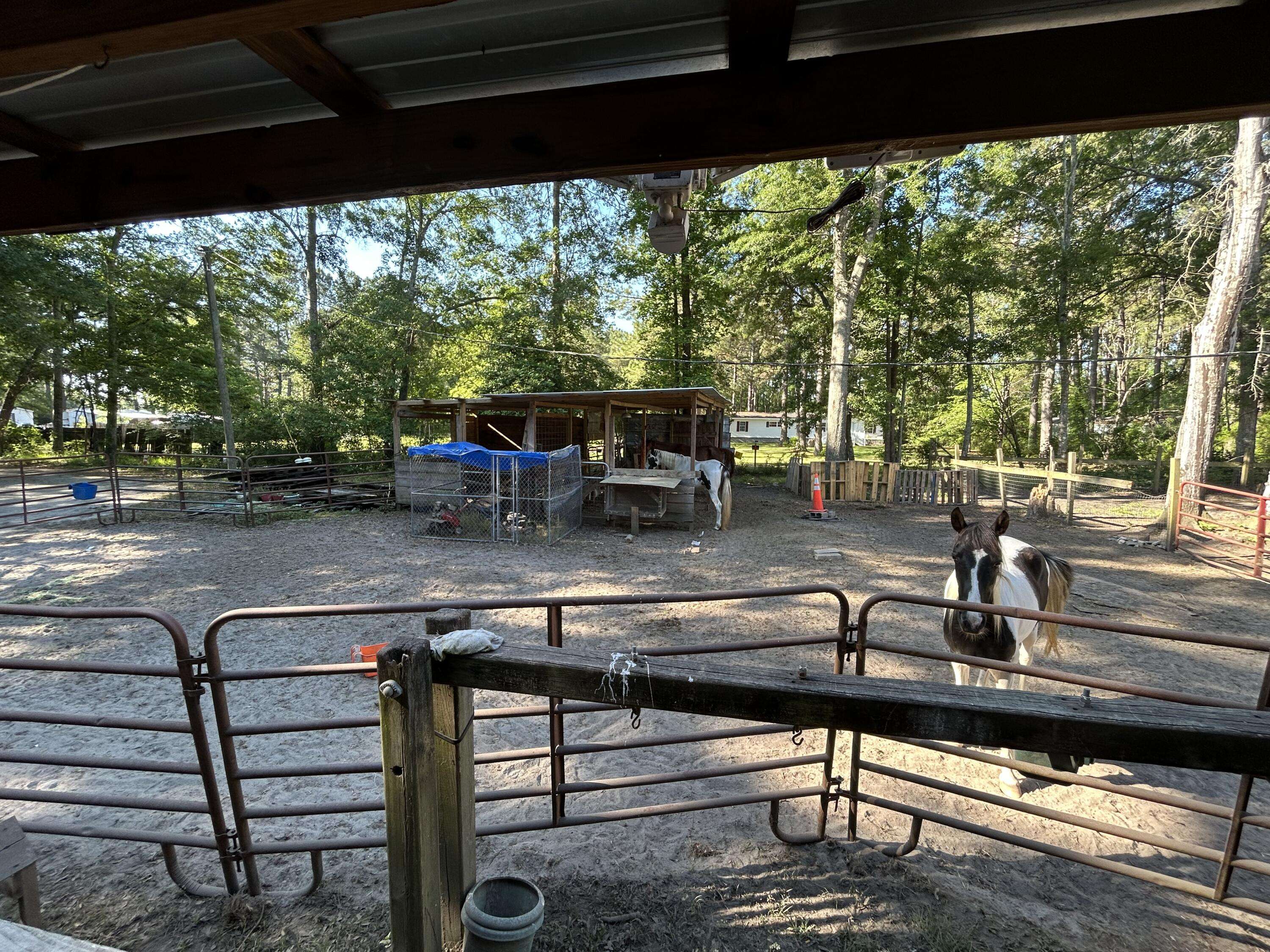 Walterboro, SC 29488,696 Bedon Rd