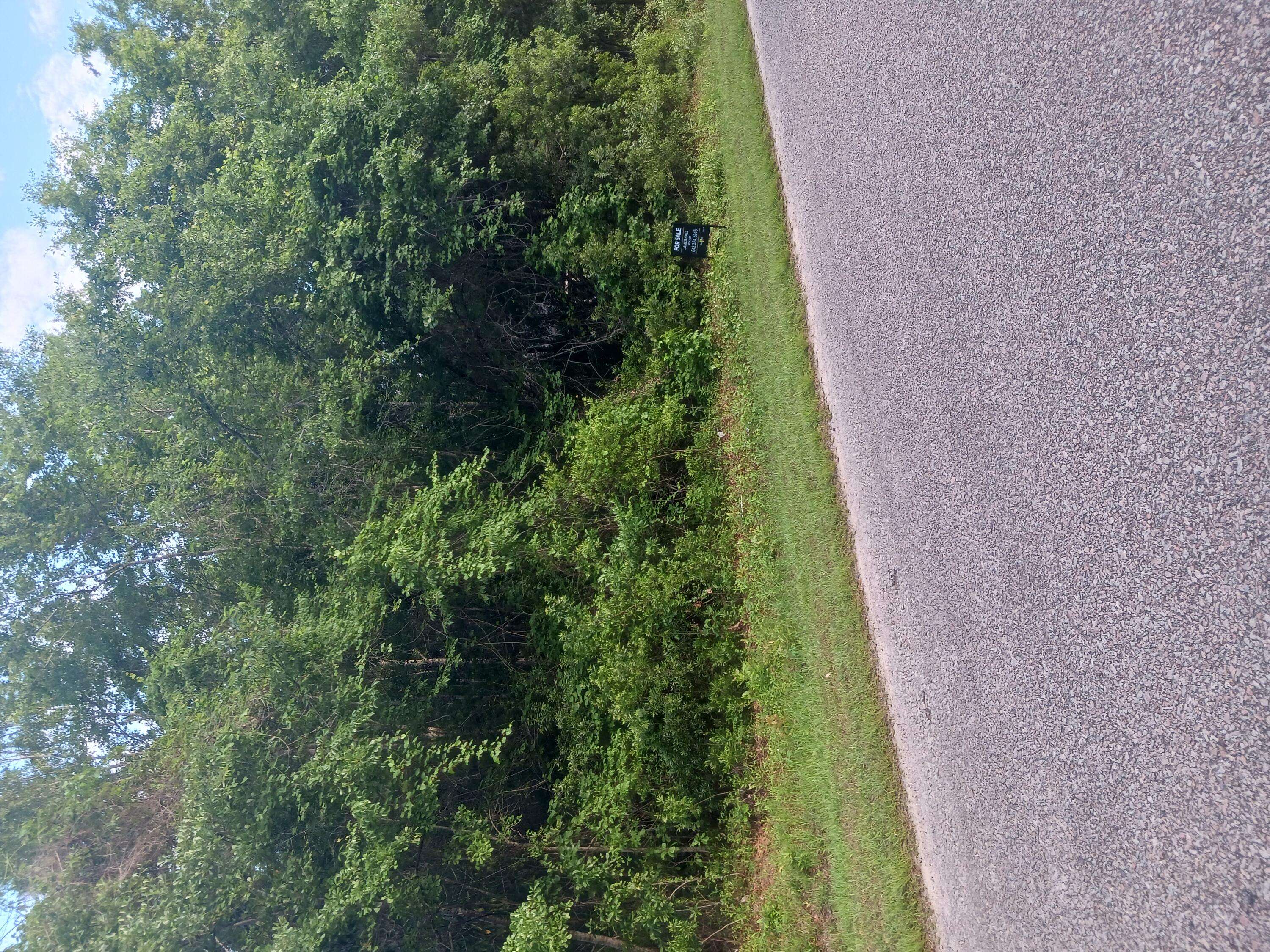 Walterboro, SC 29488,0 Fox Field Rd