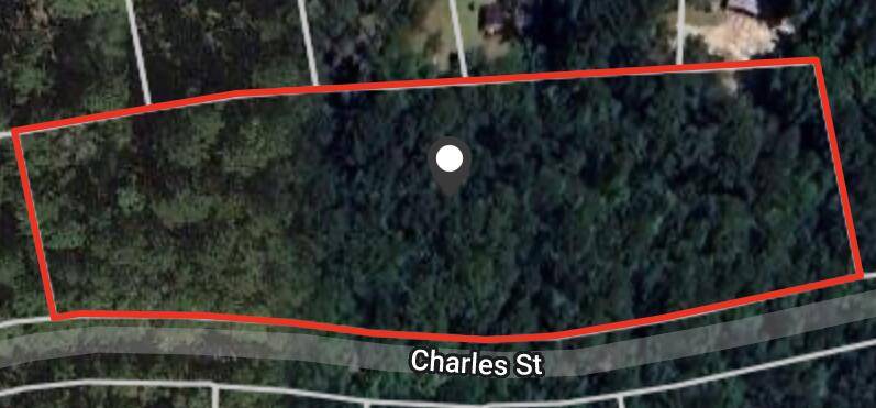 Varnville, SC 29944,00 Charles St