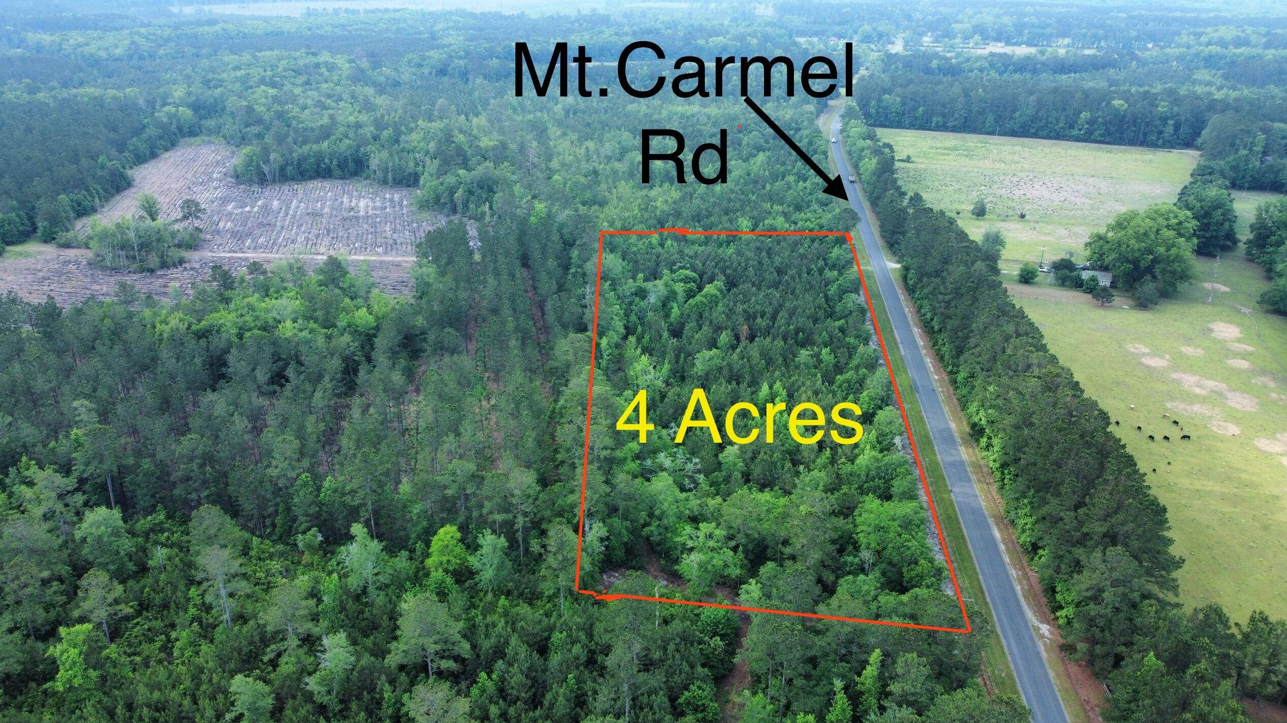 Walterboro, SC 29488,1-A Mt. Carmel Rd