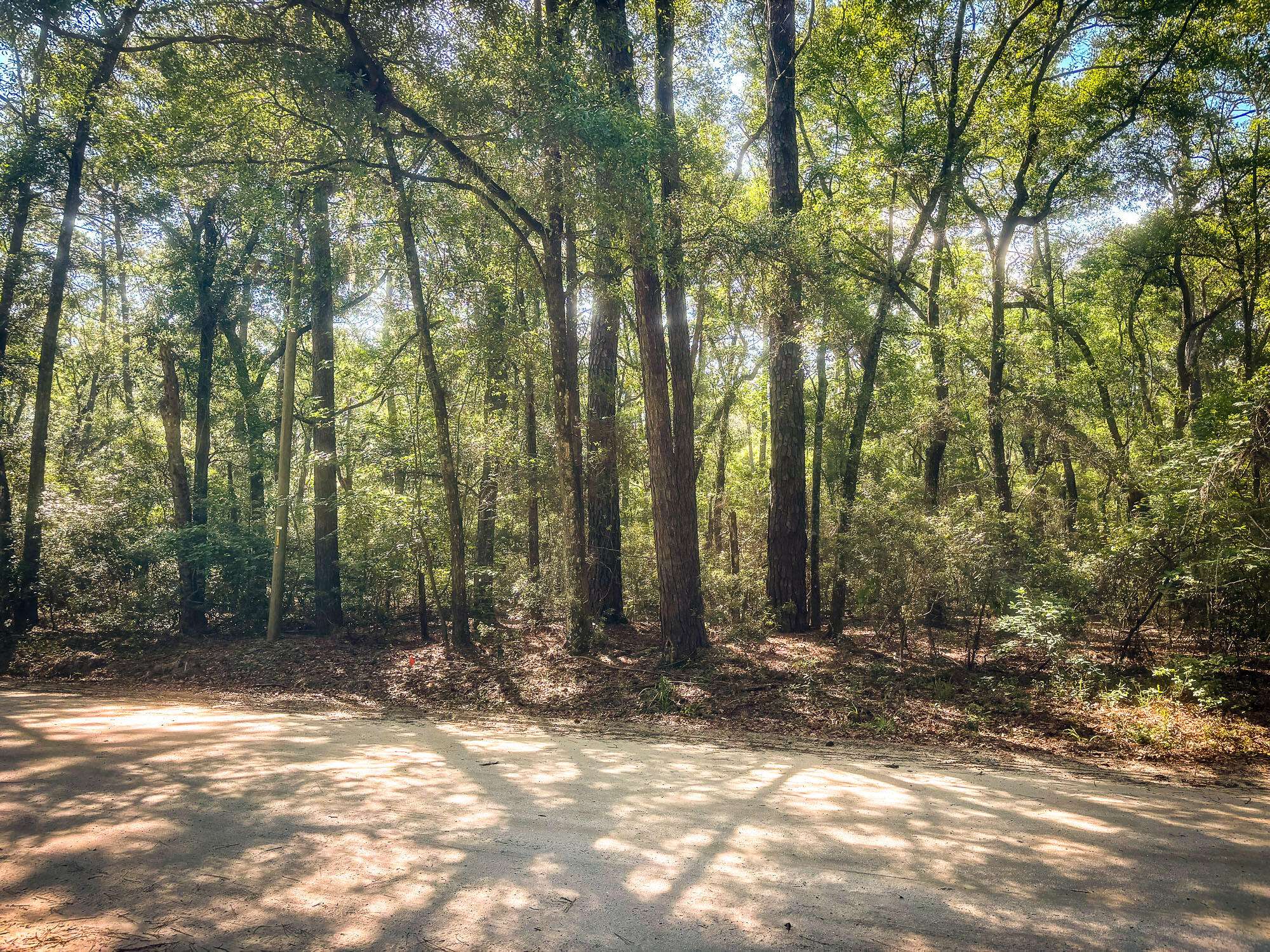 Wadmalaw Island, SC 29487,2127 Leadenwah Dr