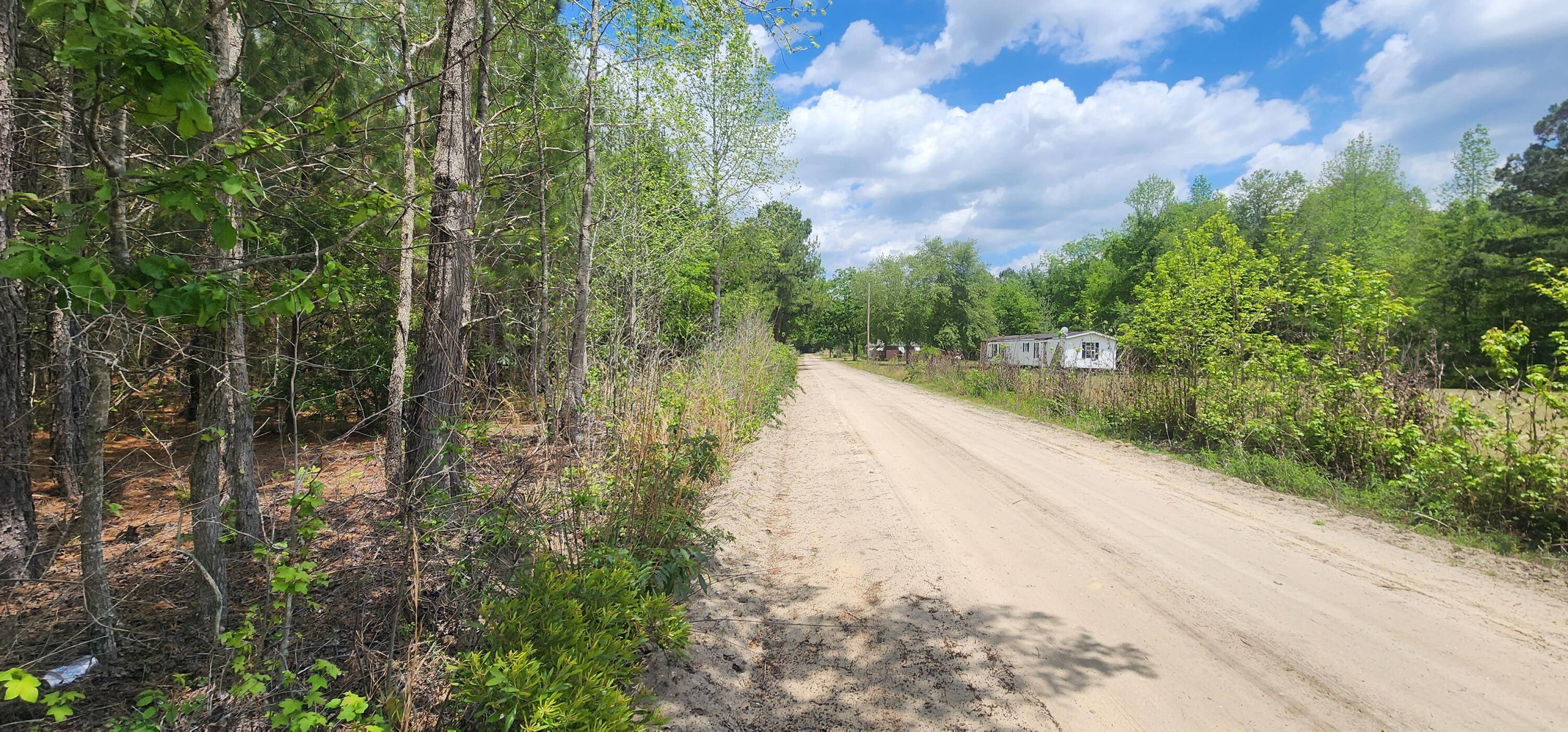 Branchville, SC 29432,0 Lost Horn Rd