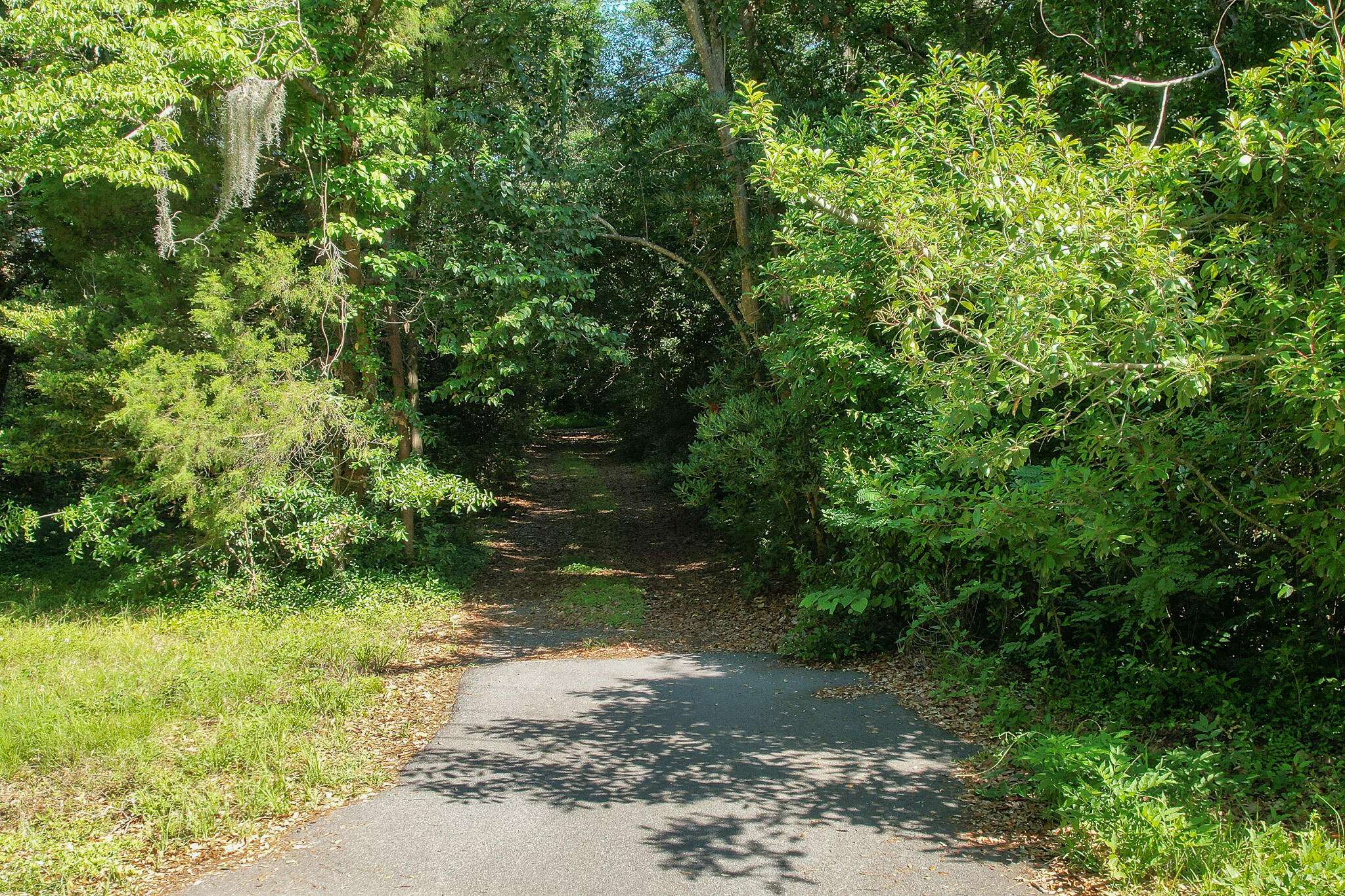Charleston, SC 29412,2180 Wappoo Hall Rd