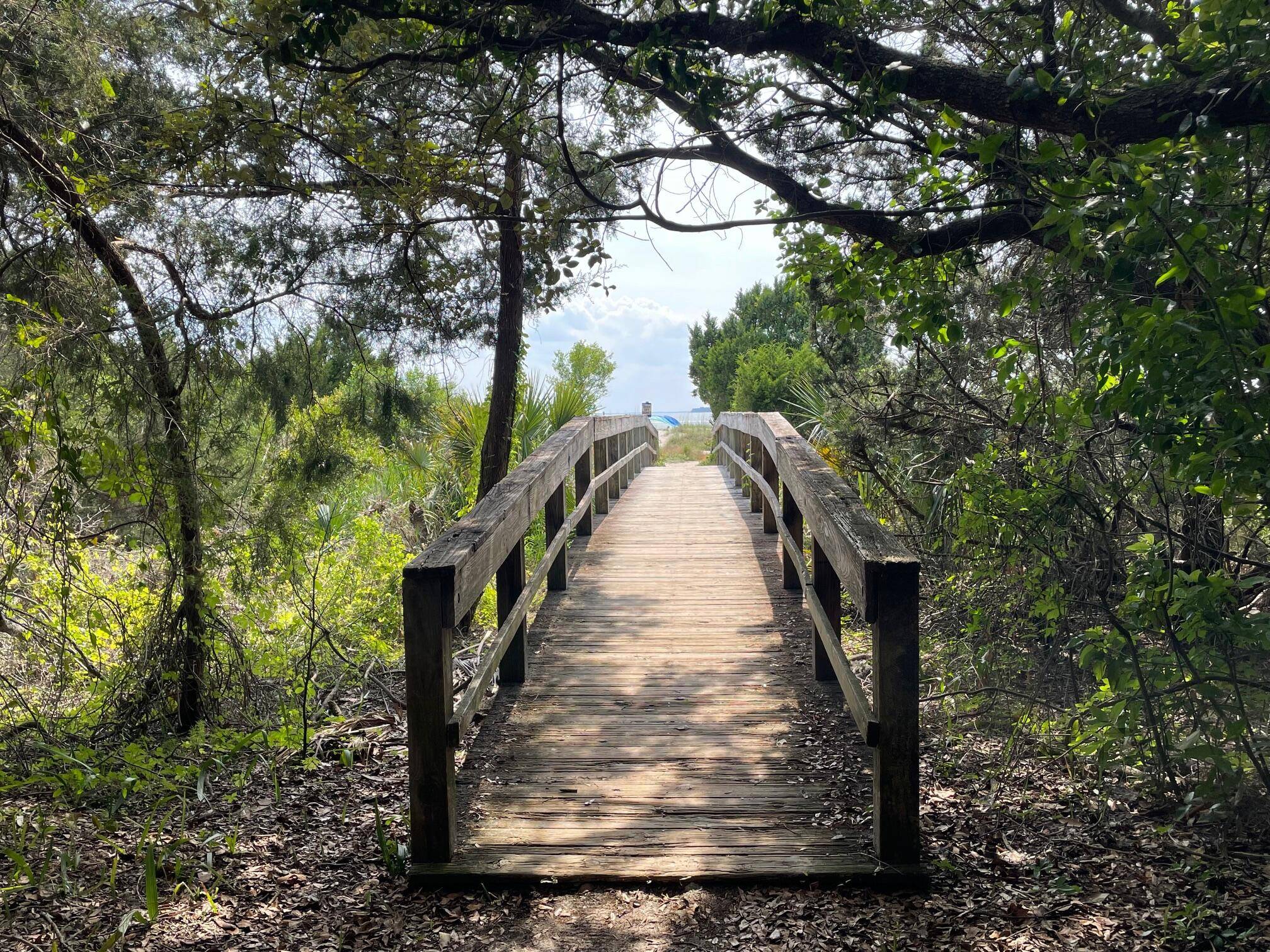 Edisto Beach, SC 29438,3329 Palmetto Blvd