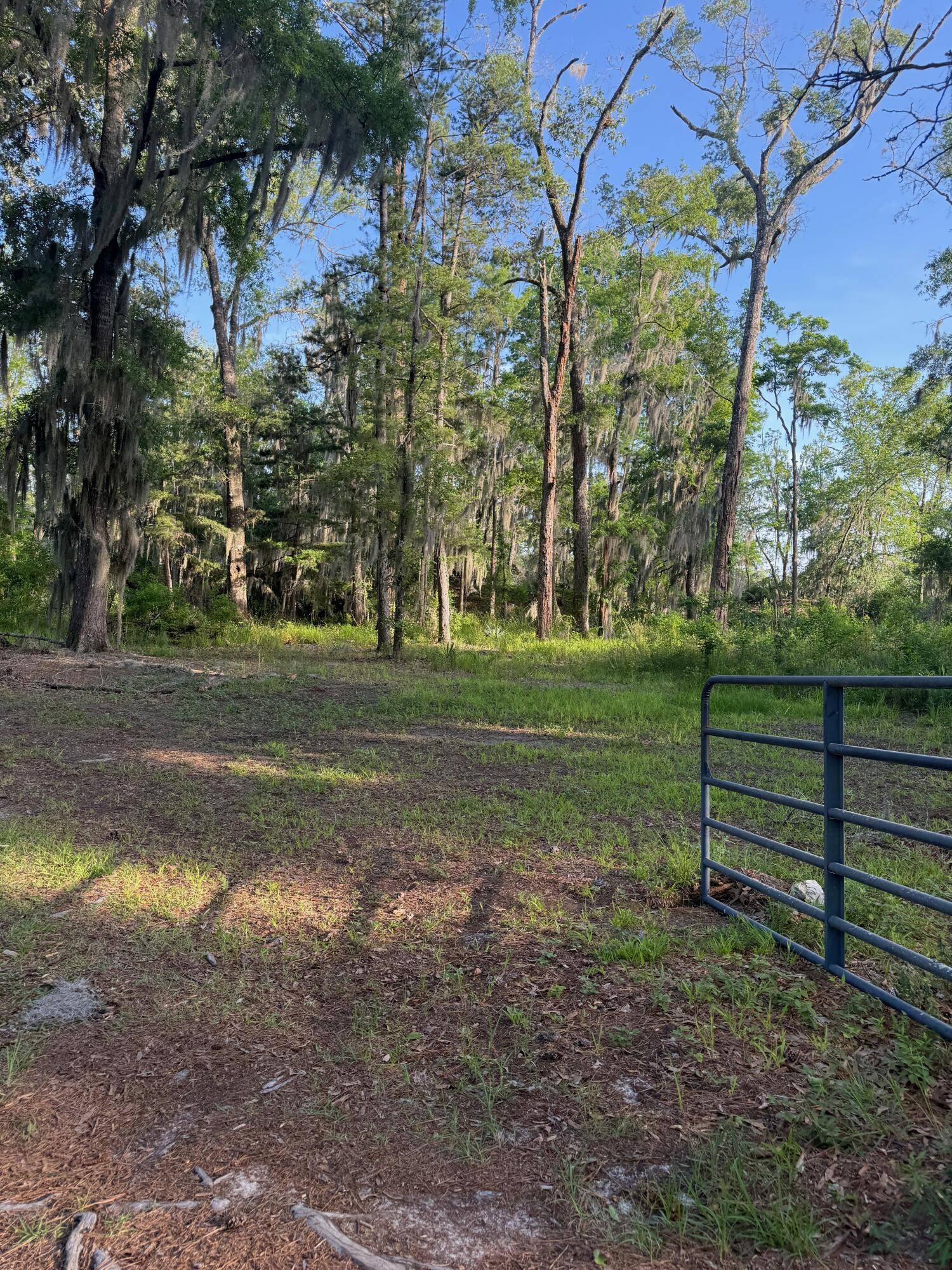 Walterboro, SC 29488,3637 Prices Bridge Ln
