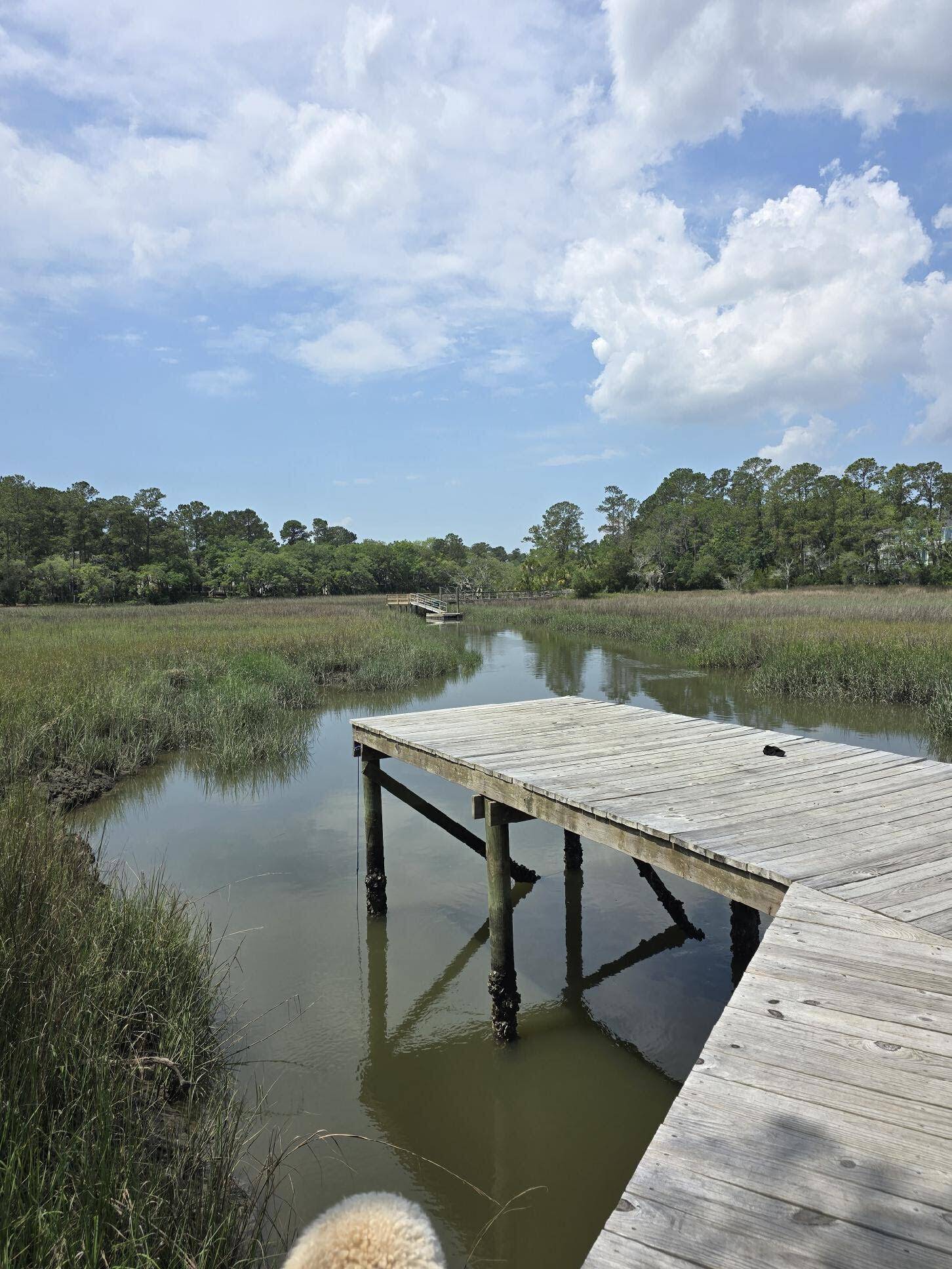 Mount Pleasant, SC 29464,261 Mossy Oak Way