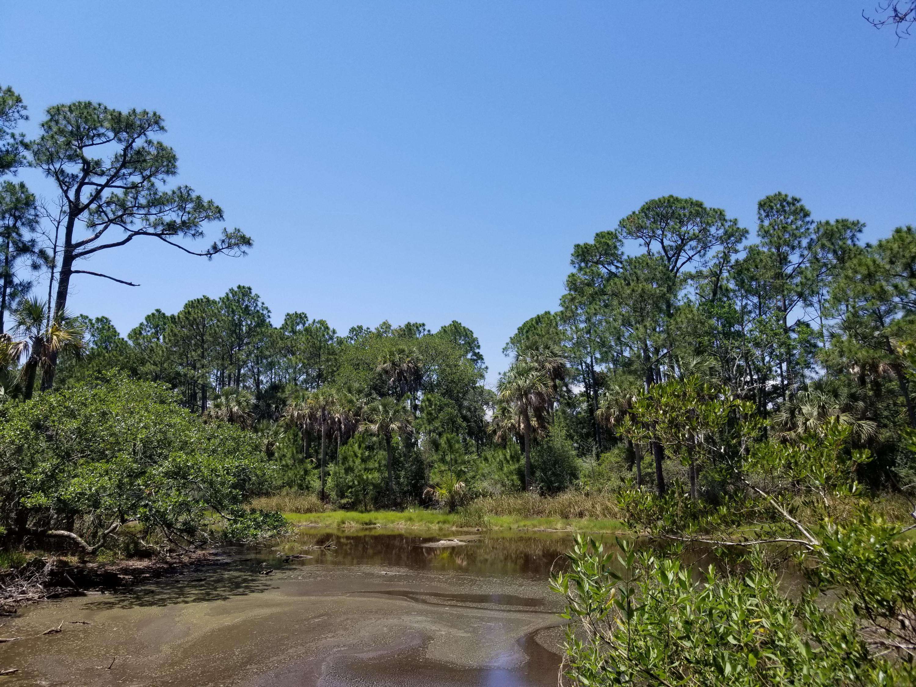 Kiawah Island, SC 29455,53 Blue Heron Pond Rd